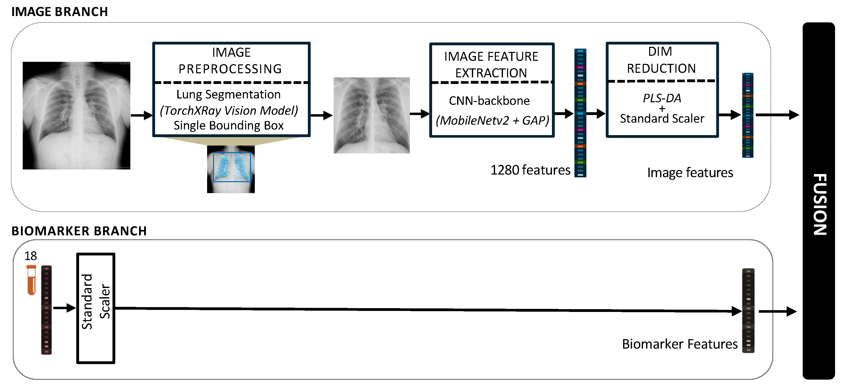 Jcm 14 08074 g001 Jcm 14 08074 g001