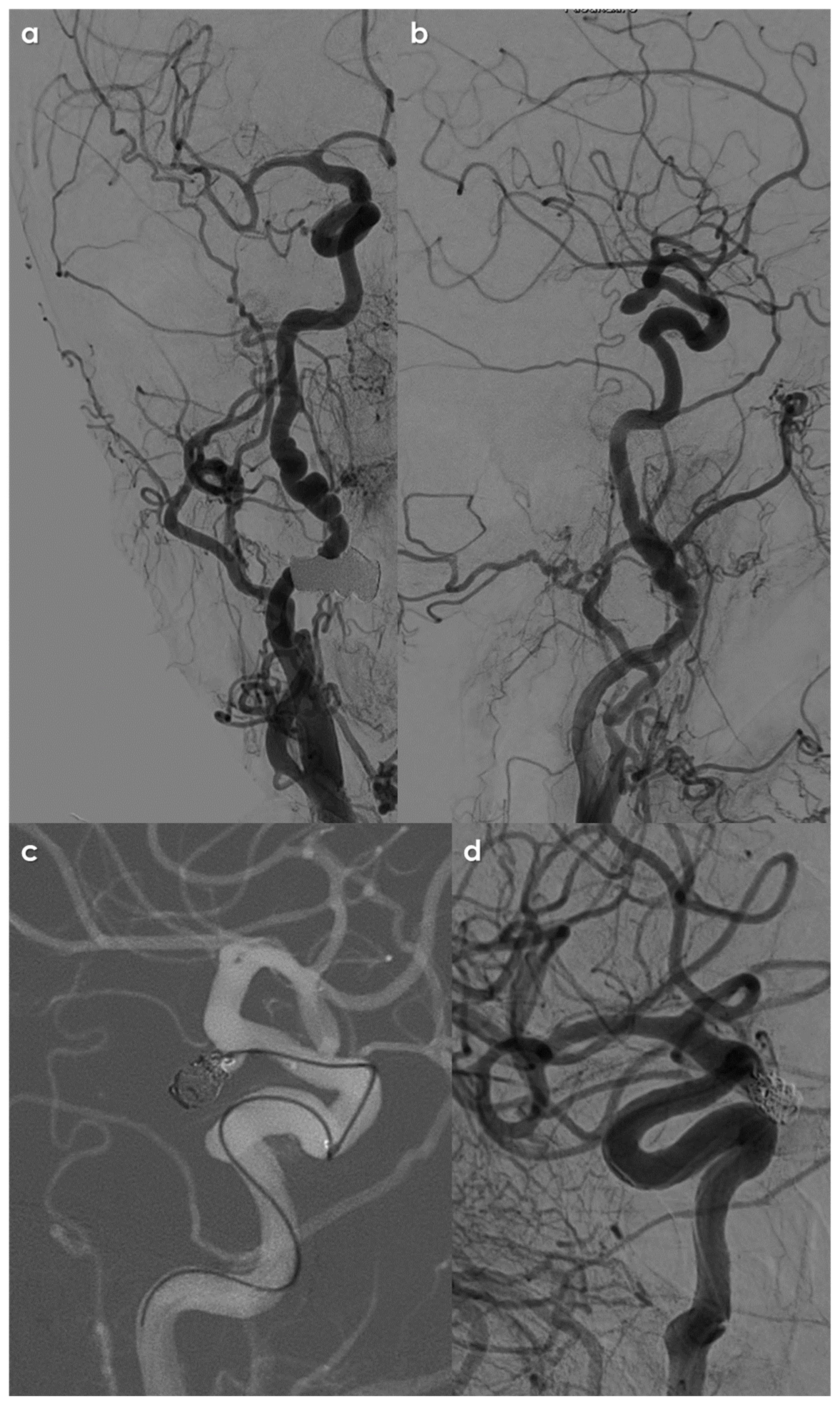 Jcm 14 08080 g005 Jcm 14 08080 g005