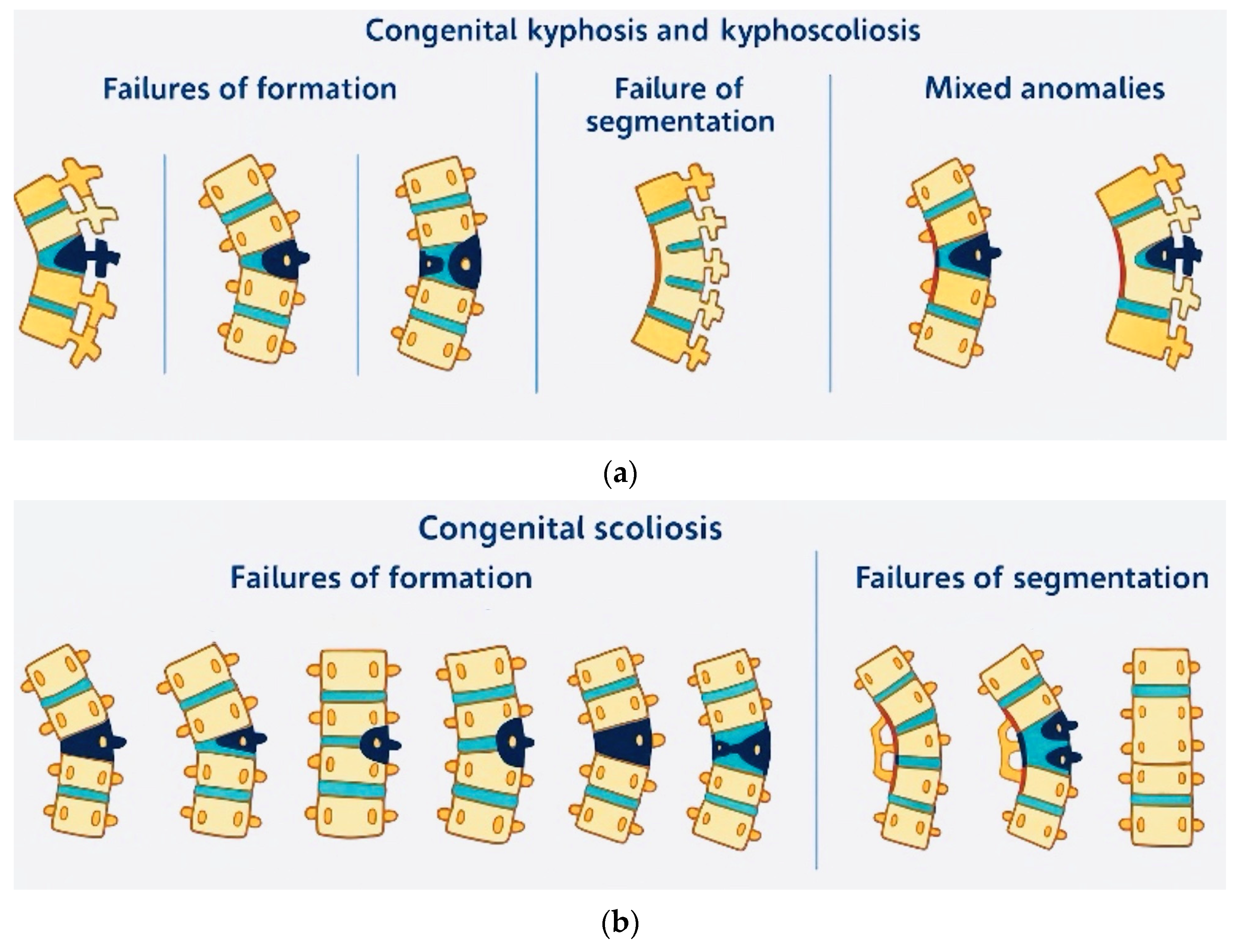 Jcm 14 08085 g001 Jcm 14 08085 g001