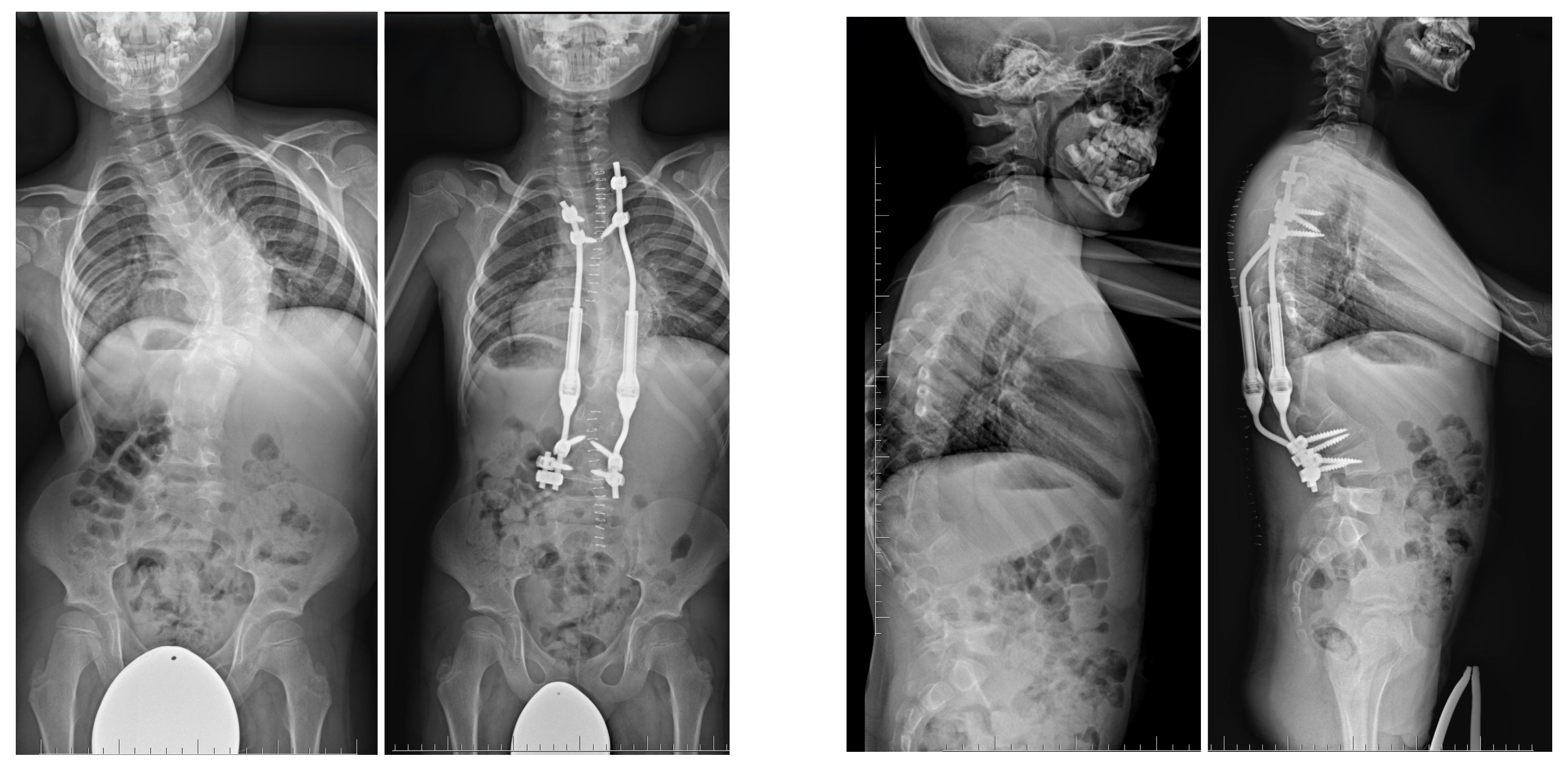 Jcm 14 08085 g008 Jcm 14 08085 g008