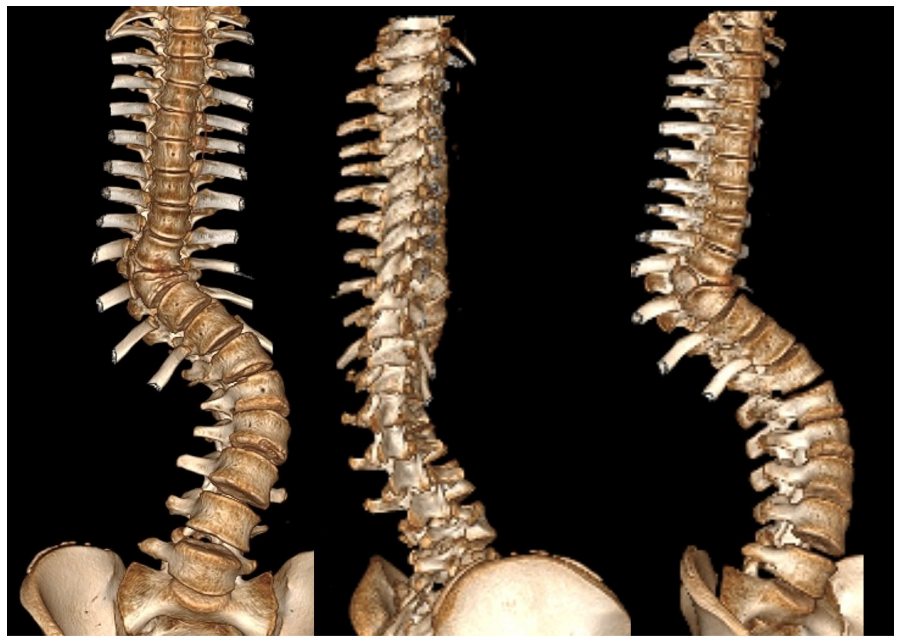 Jcm 14 08085 g010 Jcm 14 08085 g010