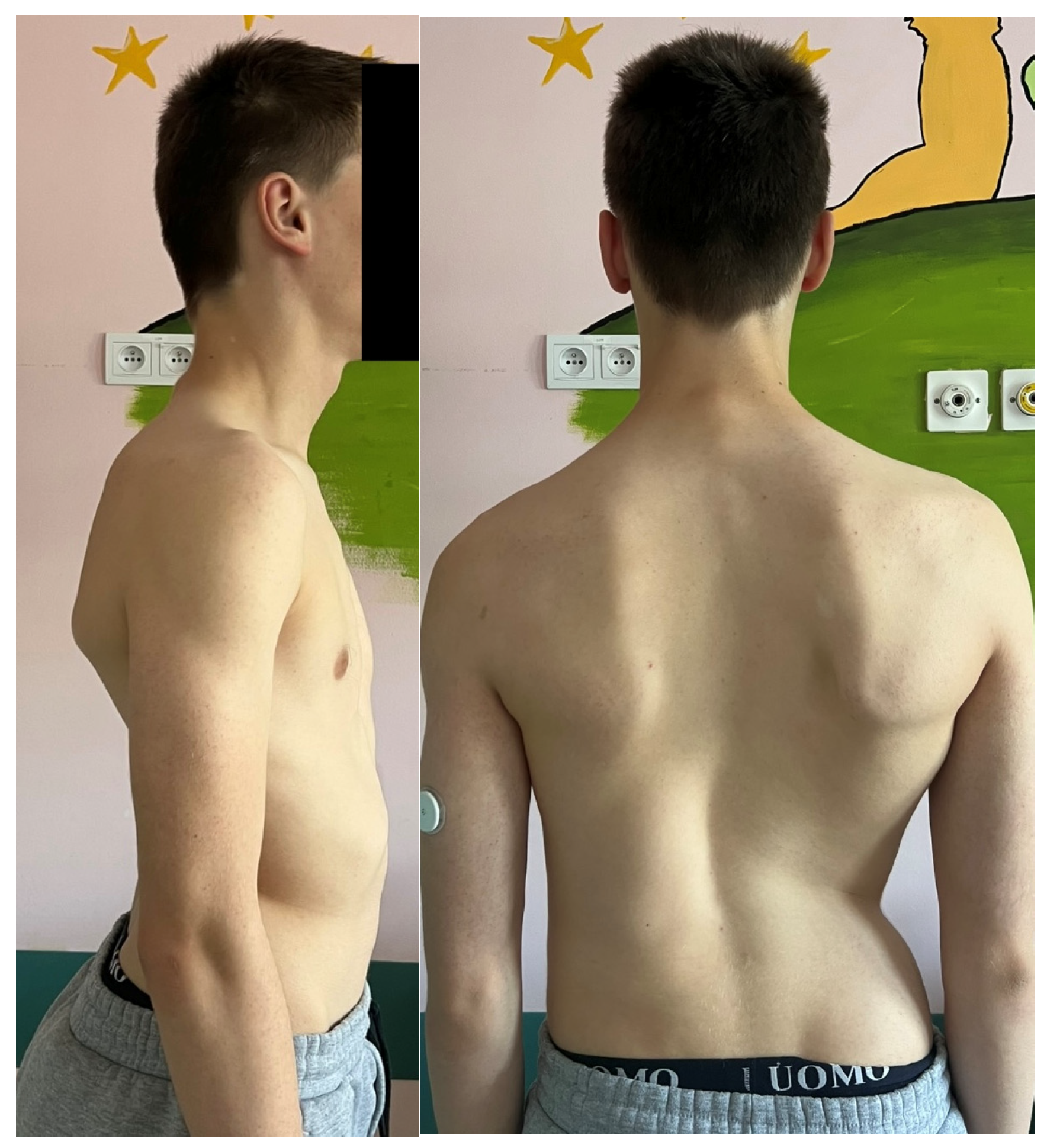 Jcm 14 08085 g012 Jcm 14 08085 g012