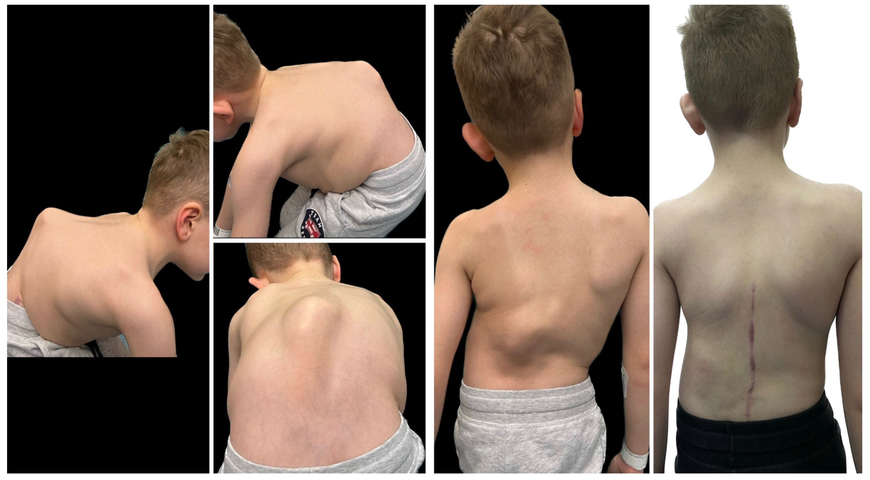 Jcm 14 08085 g015a Jcm 14 08085 g015a