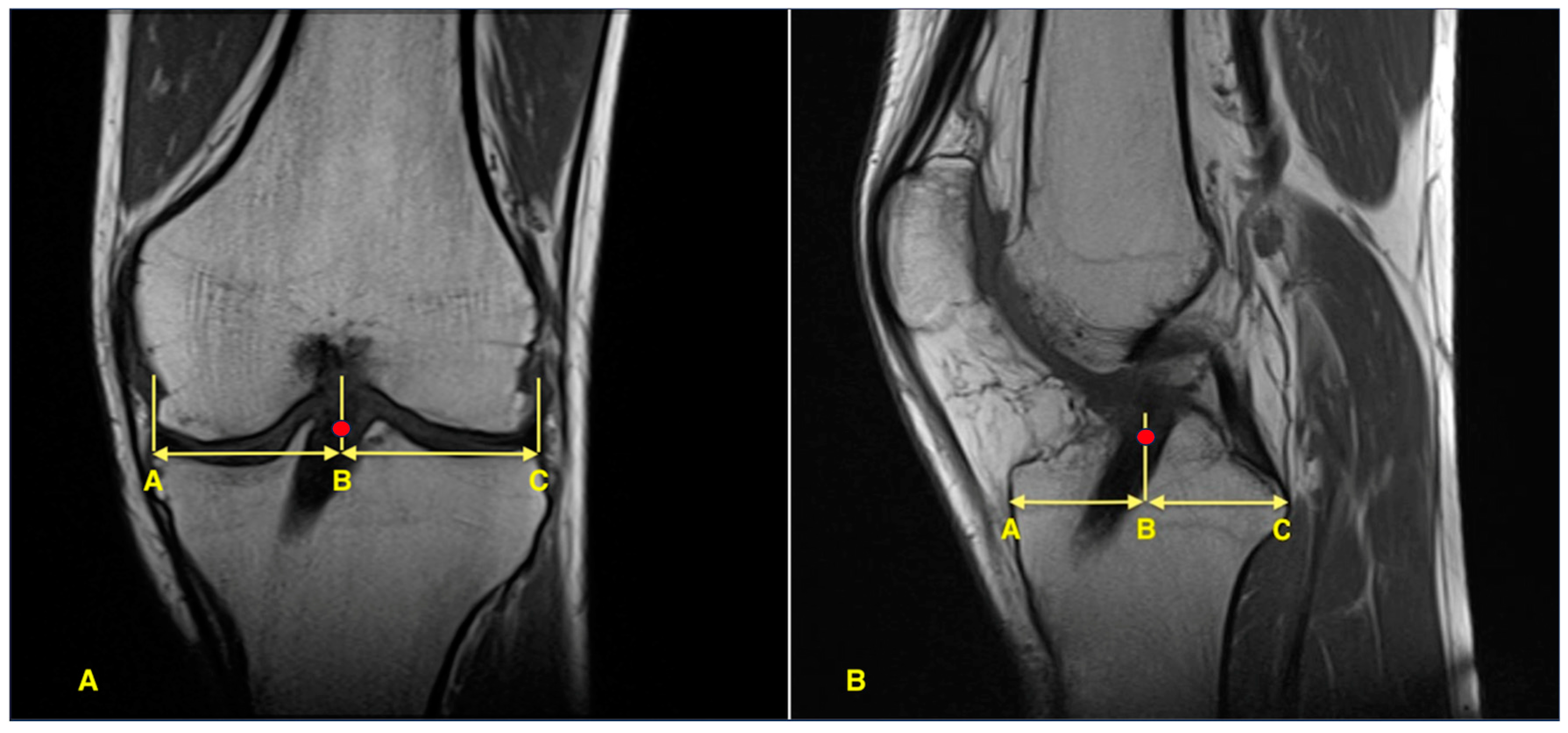Jcm 14 08096 g001 Jcm 14 08096 g001