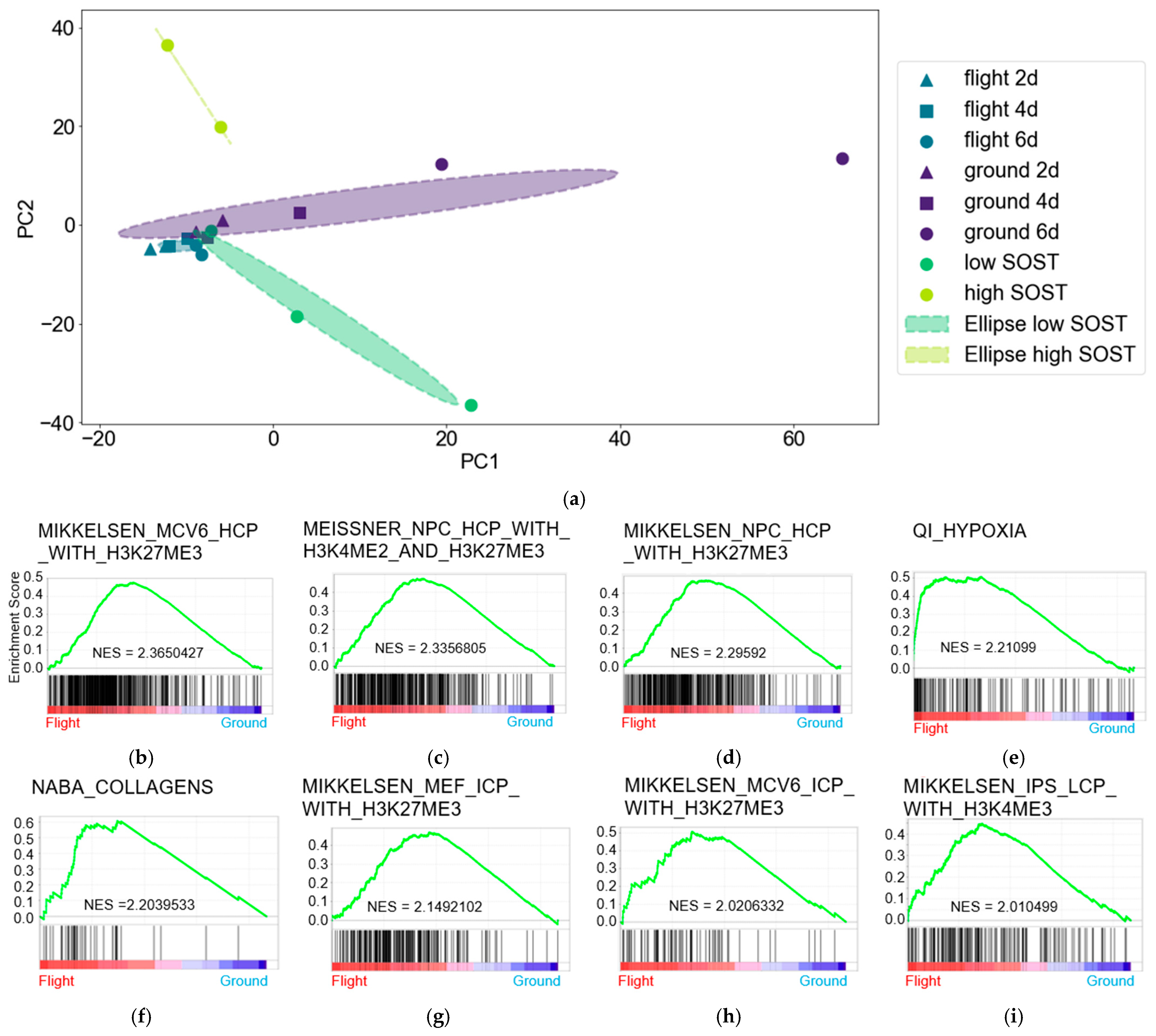 Jcm 14 08100 g001a Jcm 14 08100 g001a