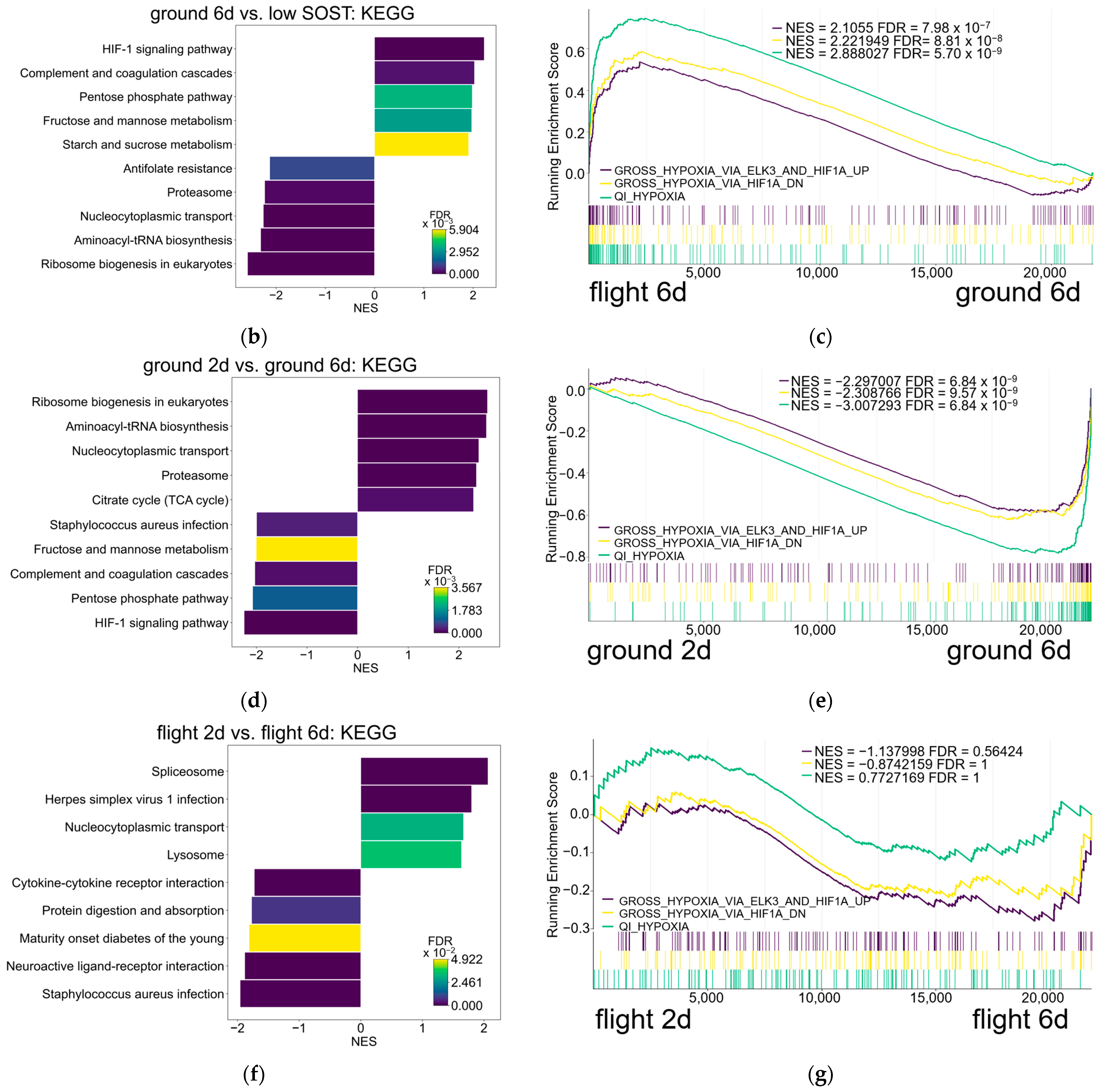 Jcm 14 08100 g003b Jcm 14 08100 g003b