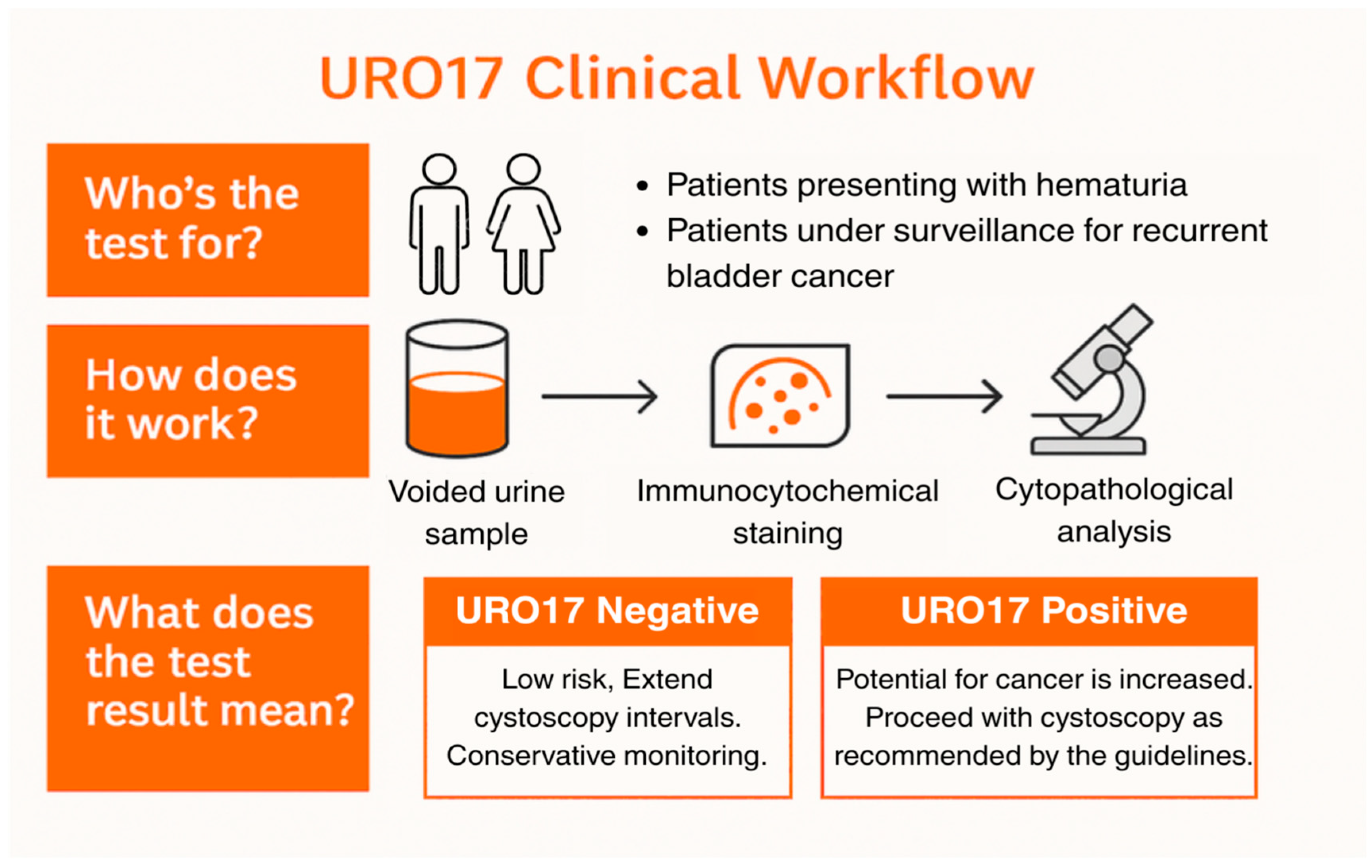 Jcm 14 08108 g001 Jcm 14 08108 g001