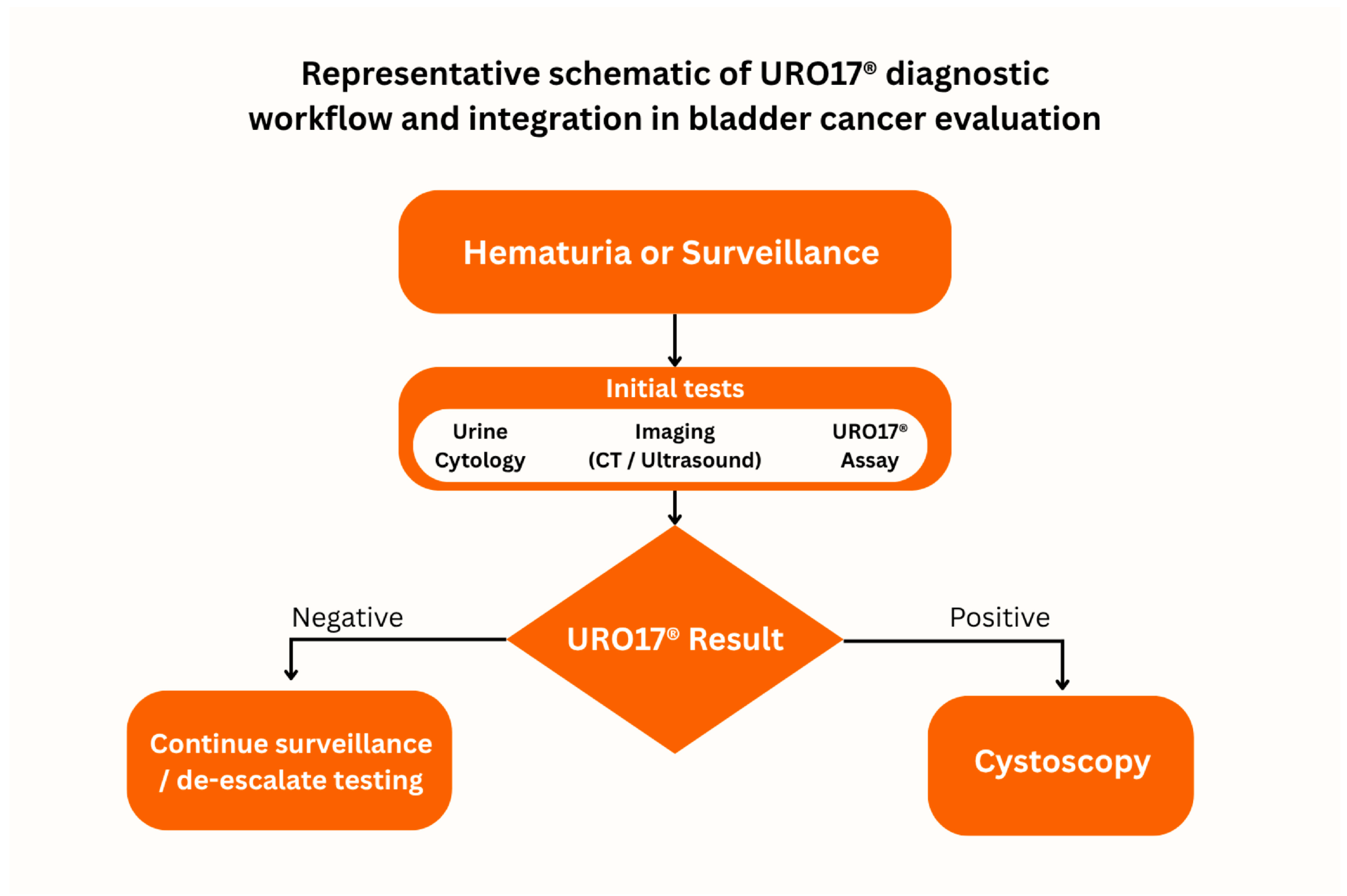 Jcm 14 08108 g0a1 Jcm 14 08108 g0a1