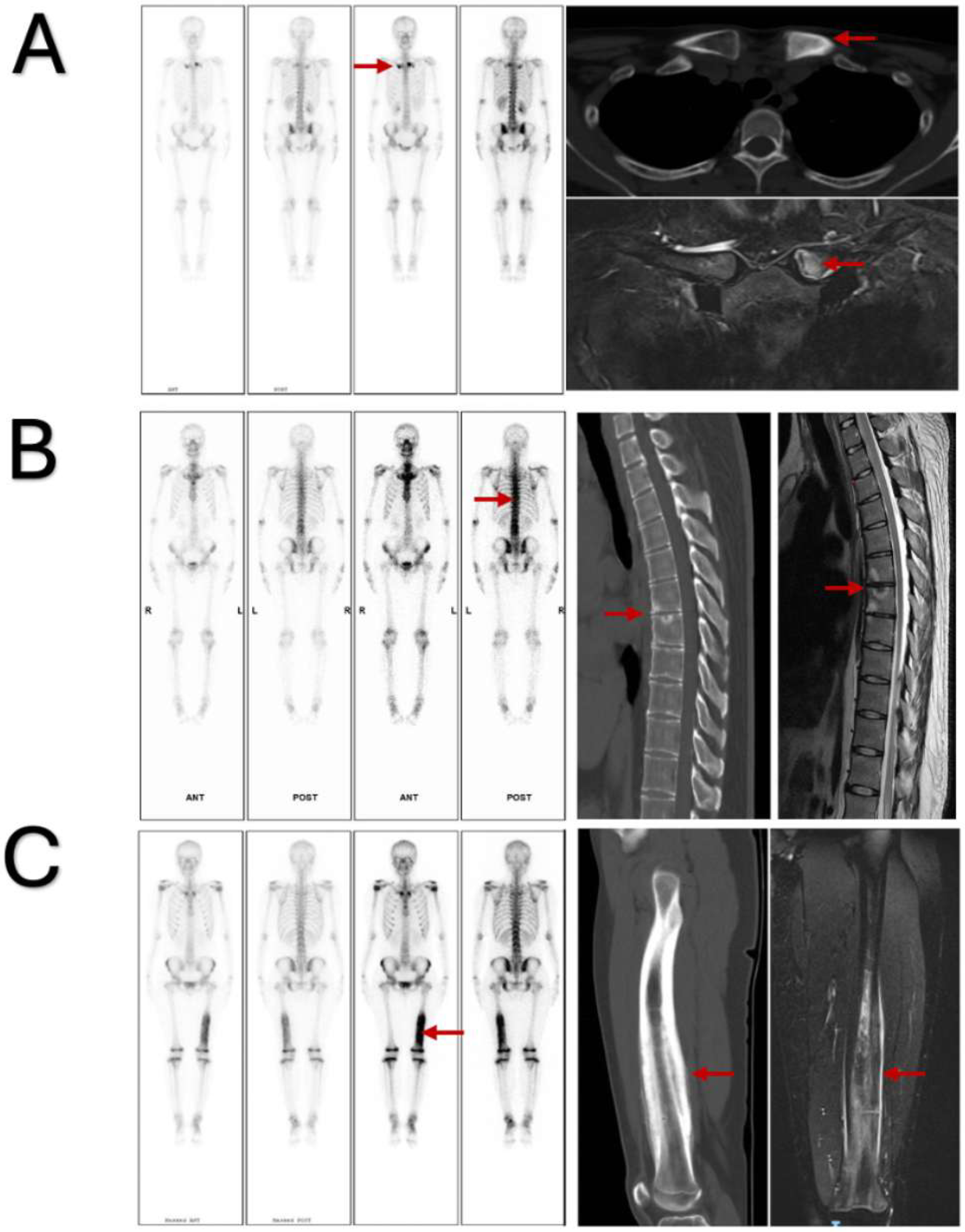 Jcm 14 08116 g003 Jcm 14 08116 g003
