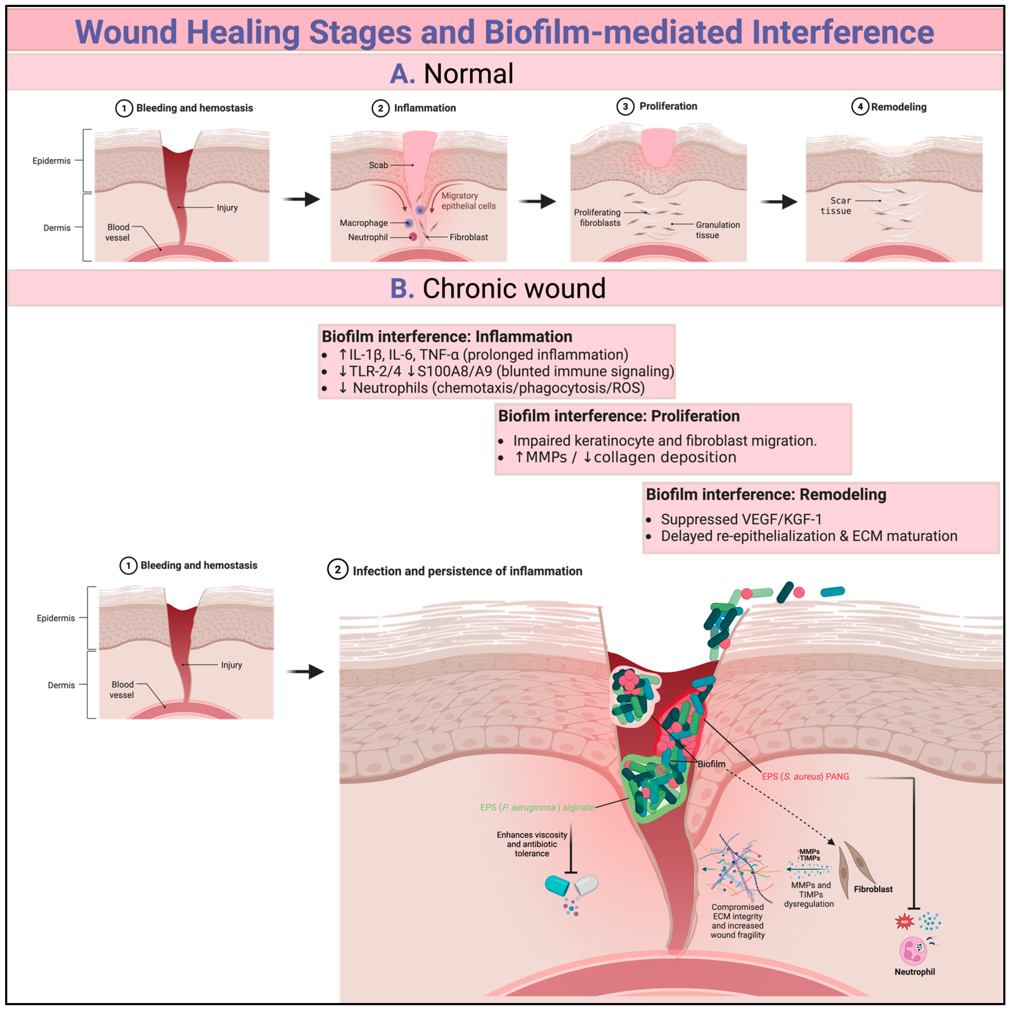 Jcm 14 08121 g002 Jcm 14 08121 g002