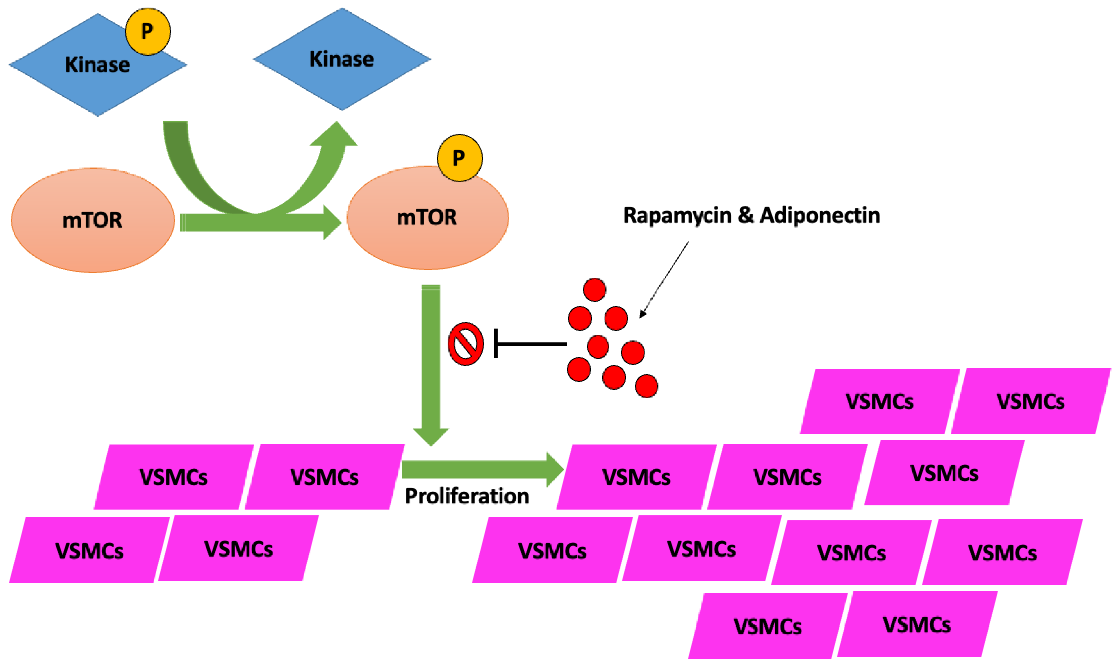 Jcm 14 08130 g001 Jcm 14 08130 g001