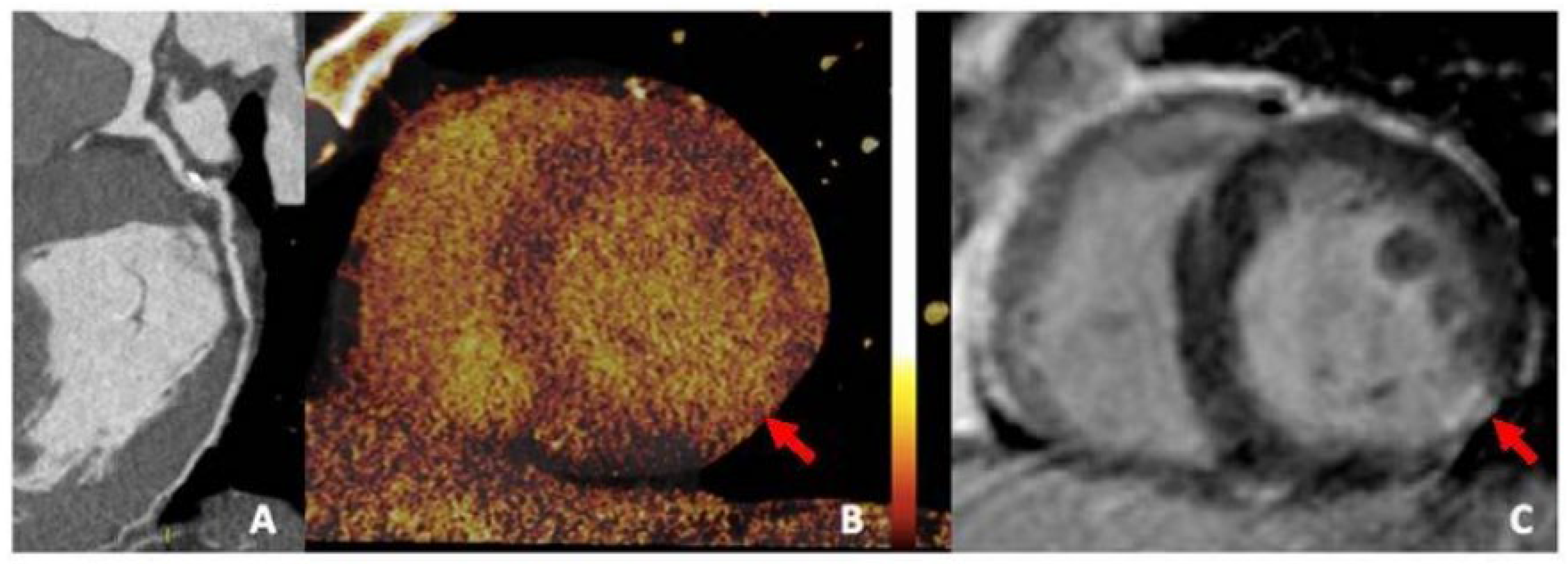 Jcm 14 08130 g013 Jcm 14 08130 g013
