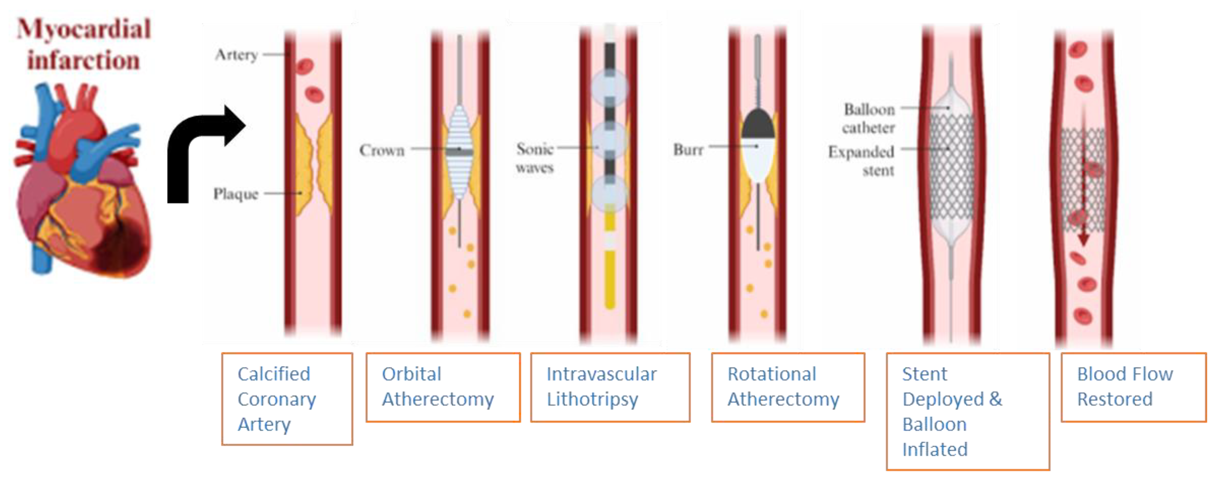 Jcm 14 08130 g014 Jcm 14 08130 g014