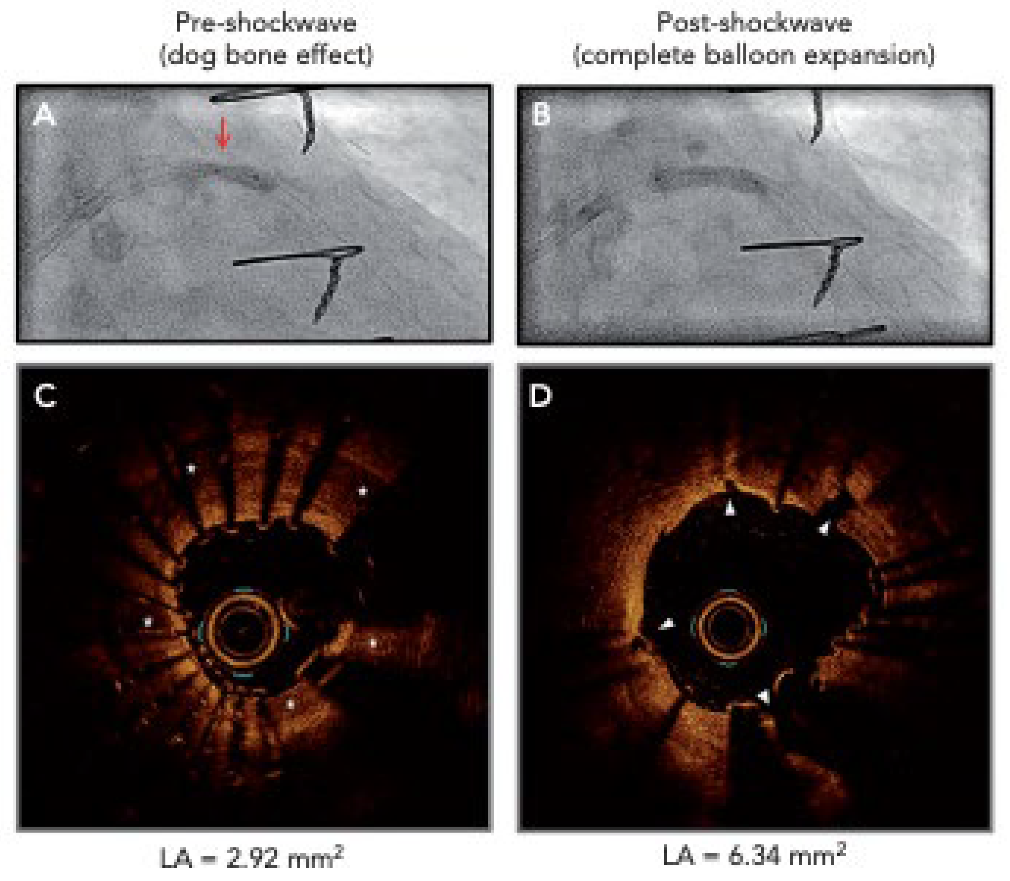Jcm 14 08130 g015 Jcm 14 08130 g015