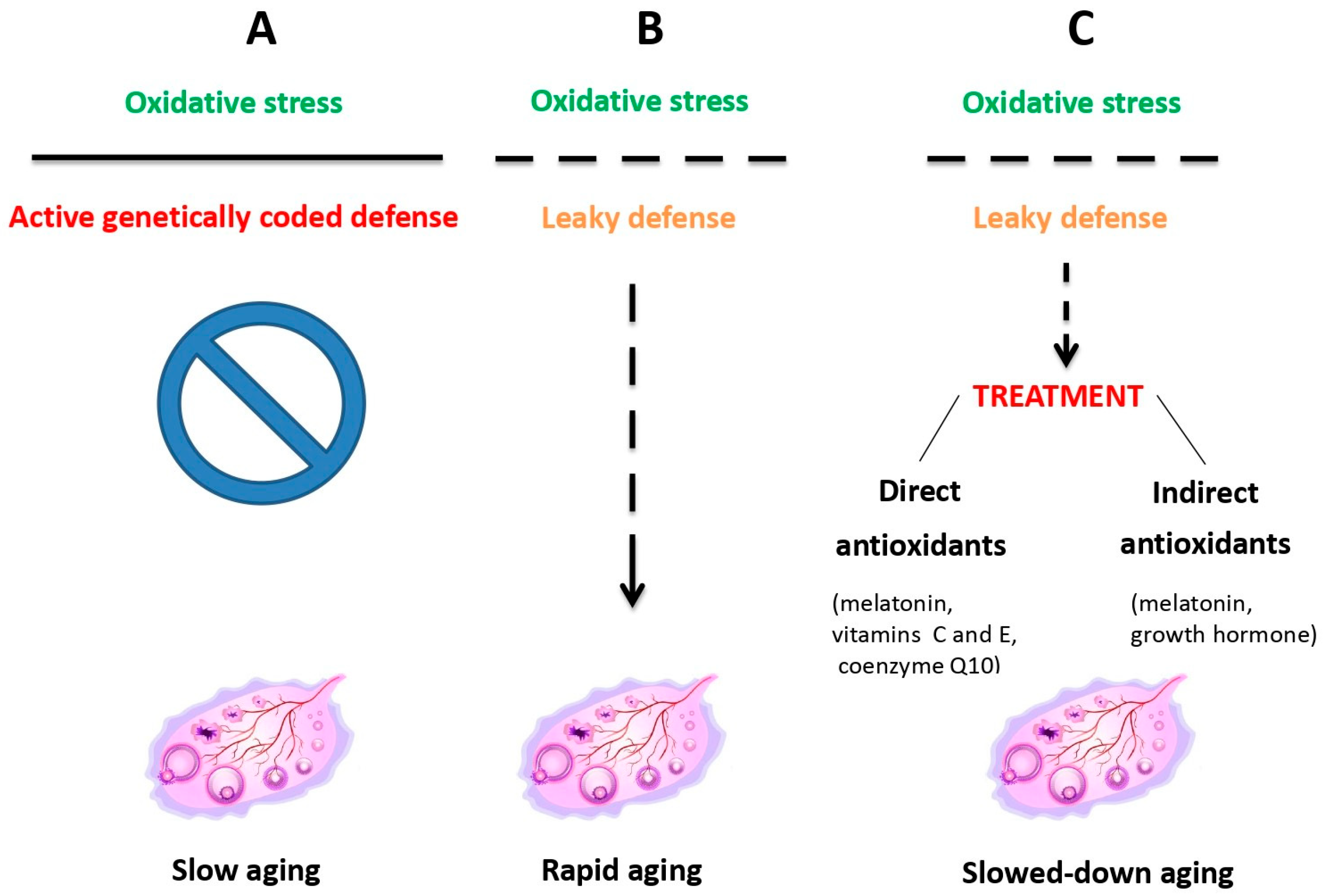Jcm 14 08163 g001 Jcm 14 08163 g001