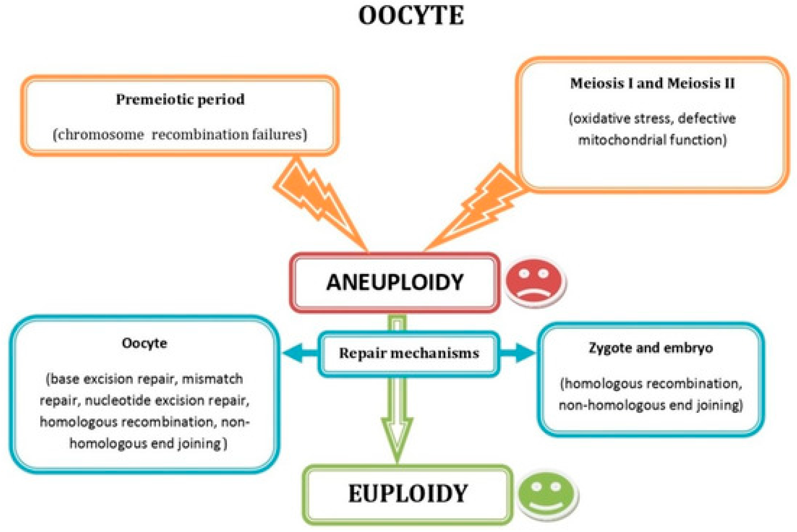 Jcm 14 08163 g003 Jcm 14 08163 g003