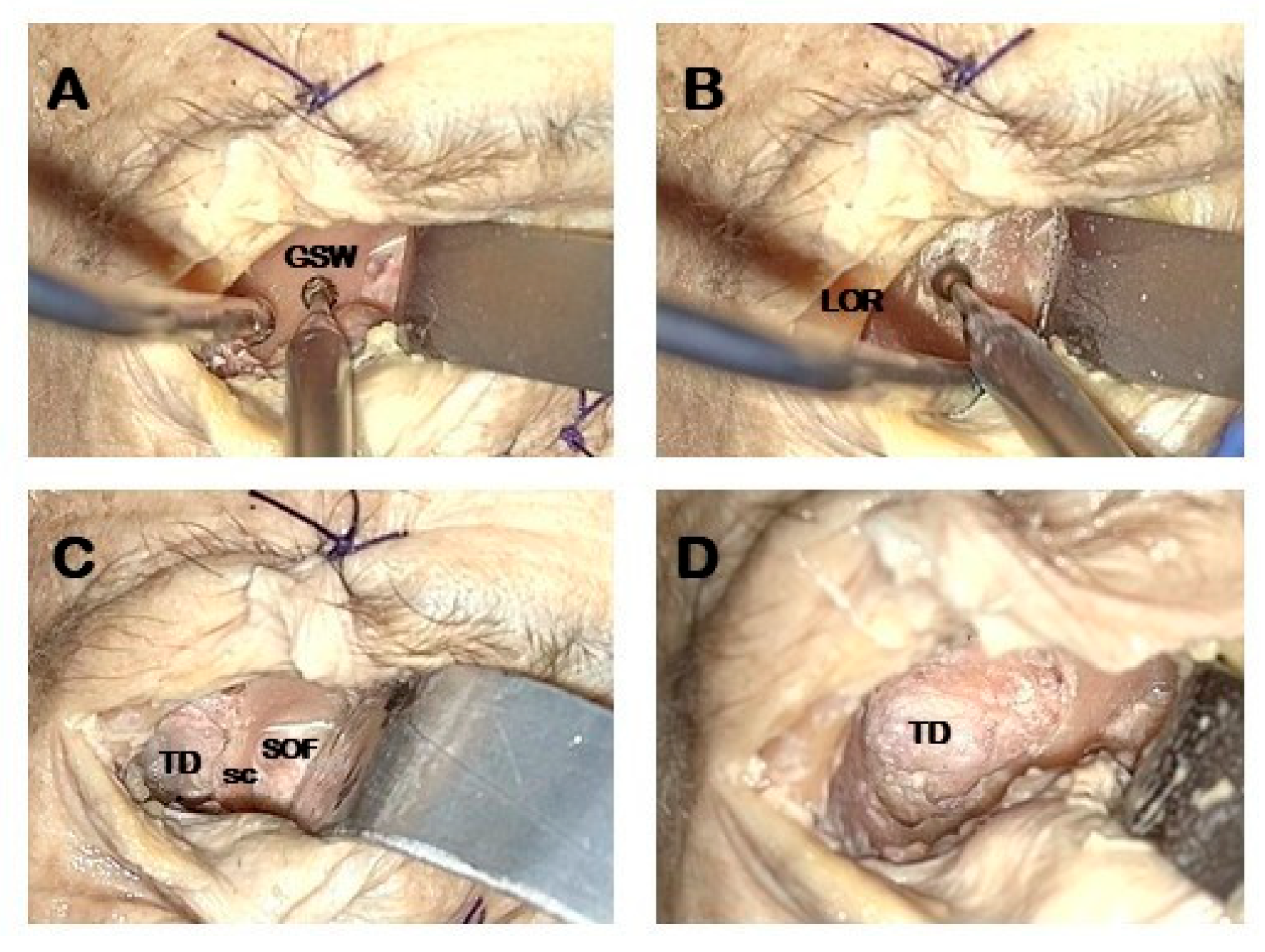 Jcm 14 08165 g002 Jcm 14 08165 g002