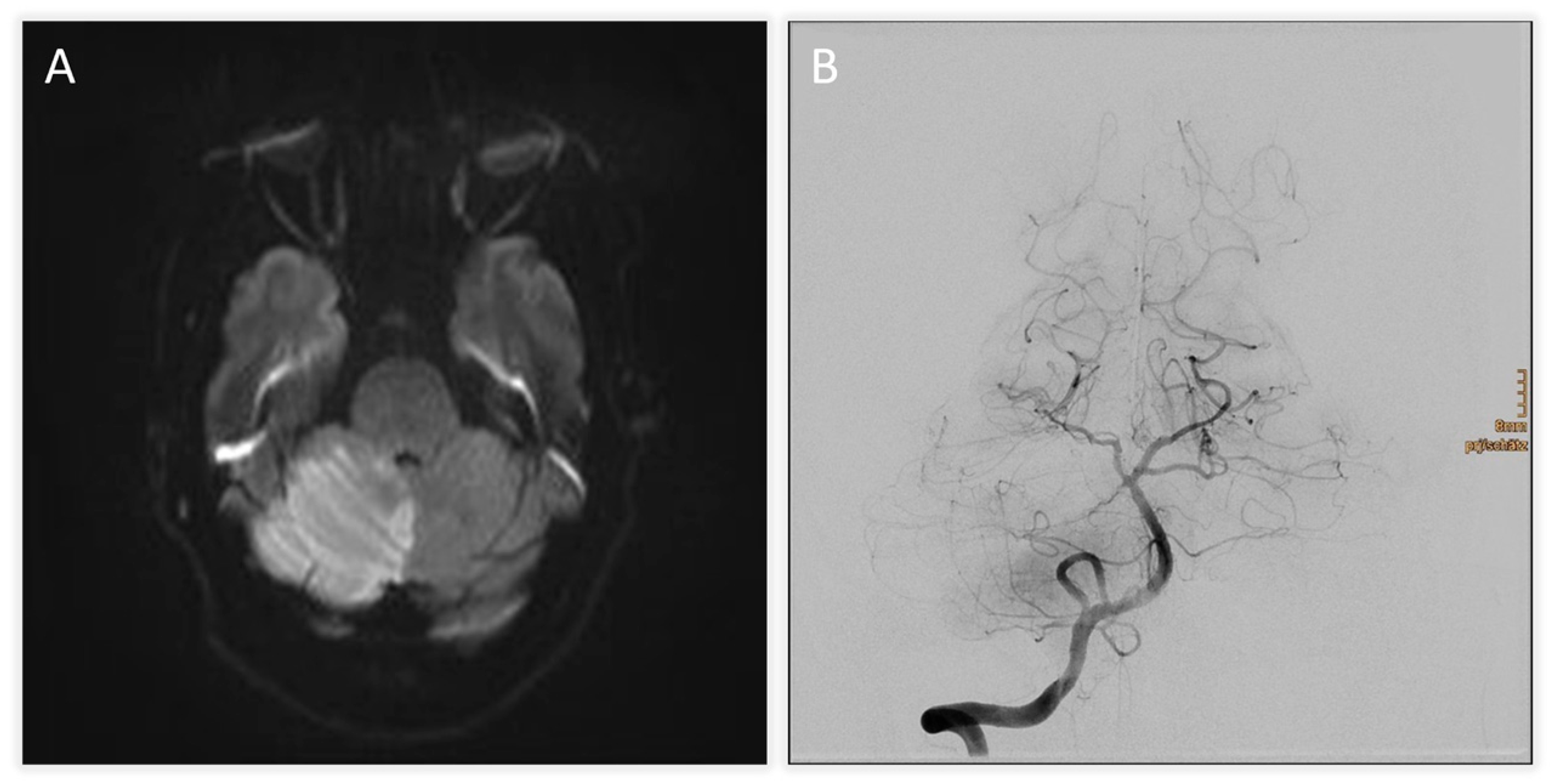 Jcm 14 08229 g001 Jcm 14 08229 g001