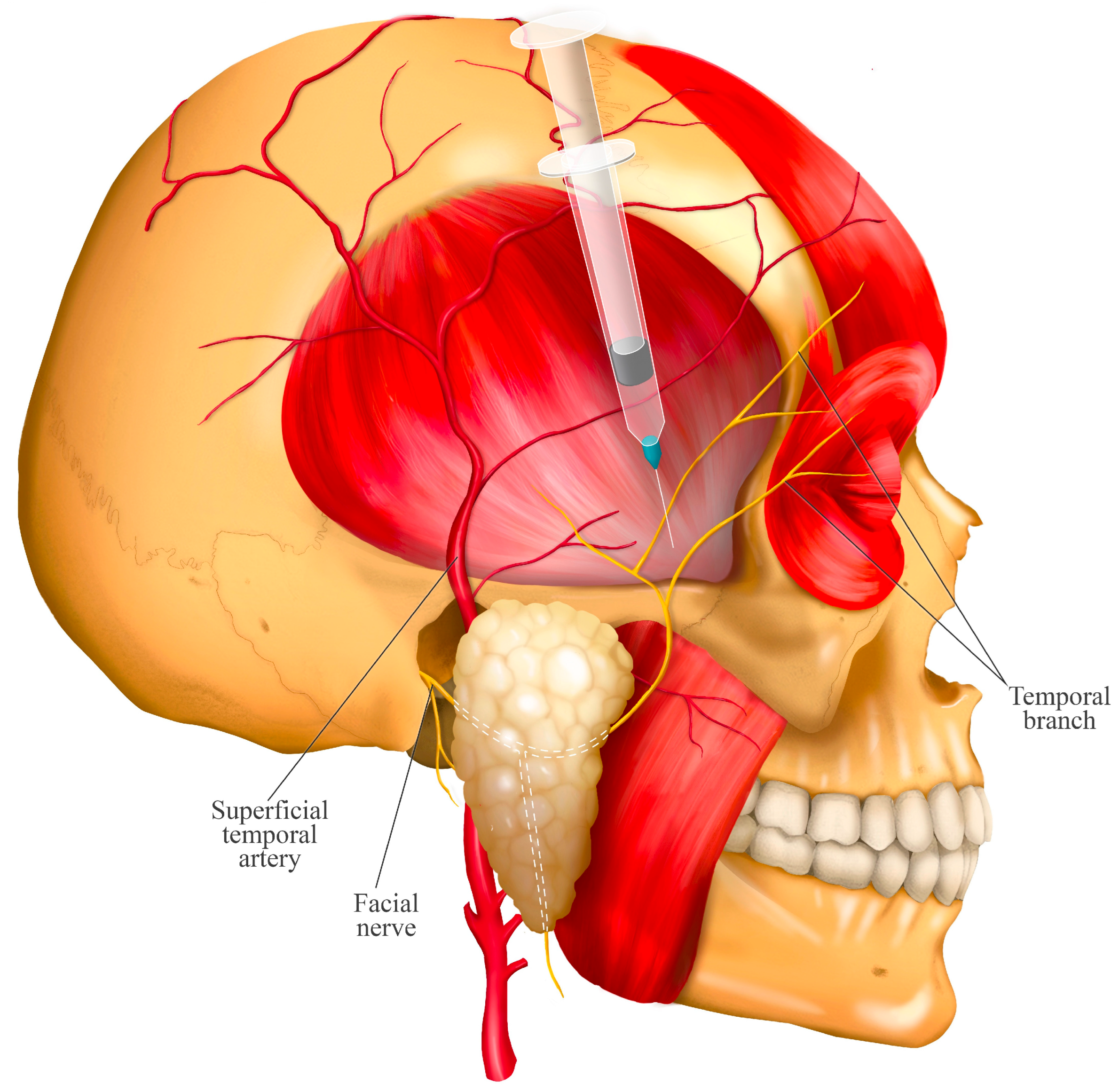 Jcm 14 08299 g006 Jcm 14 08299 g006