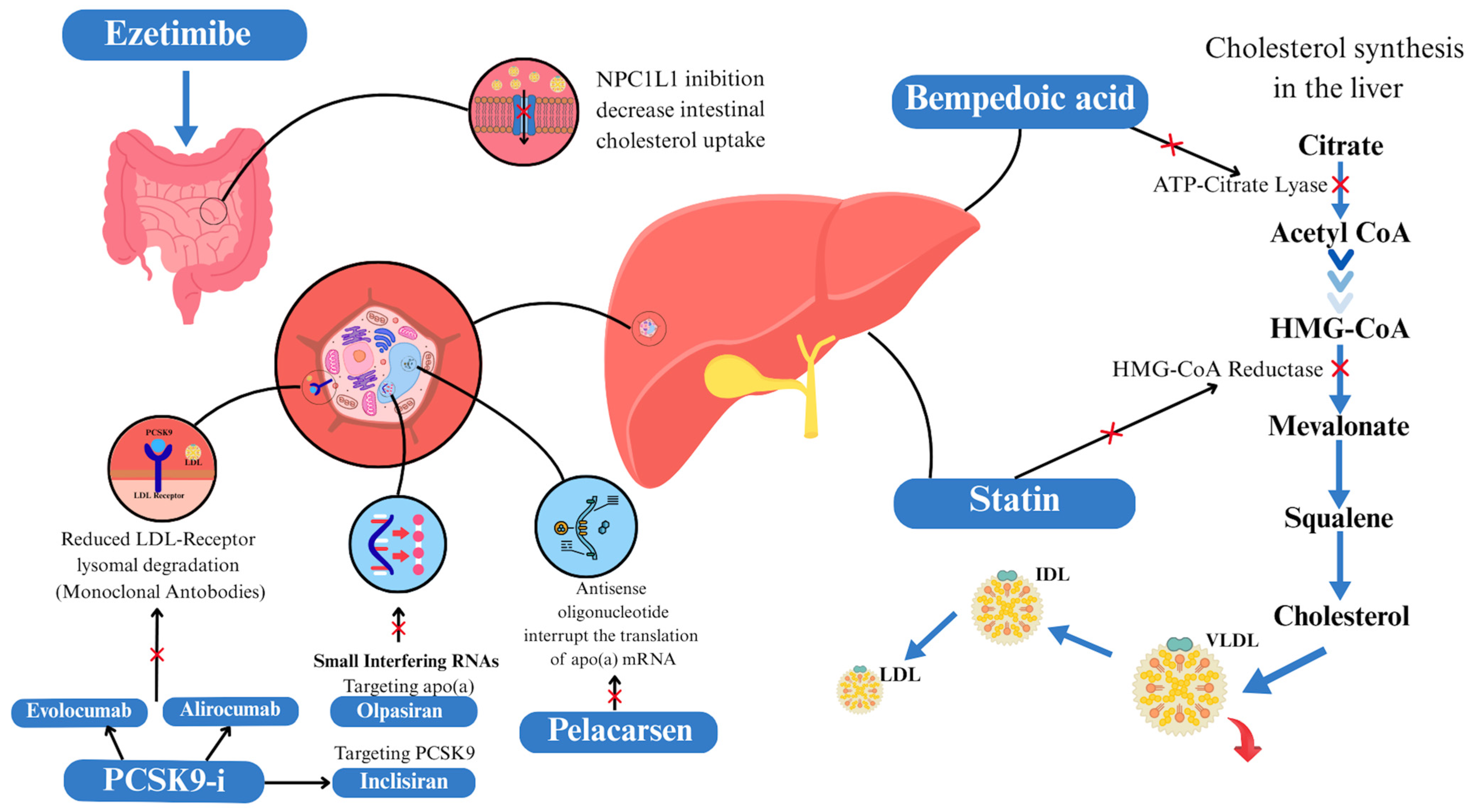 Jcm 14 08334 g002 Jcm 14 08334 g002