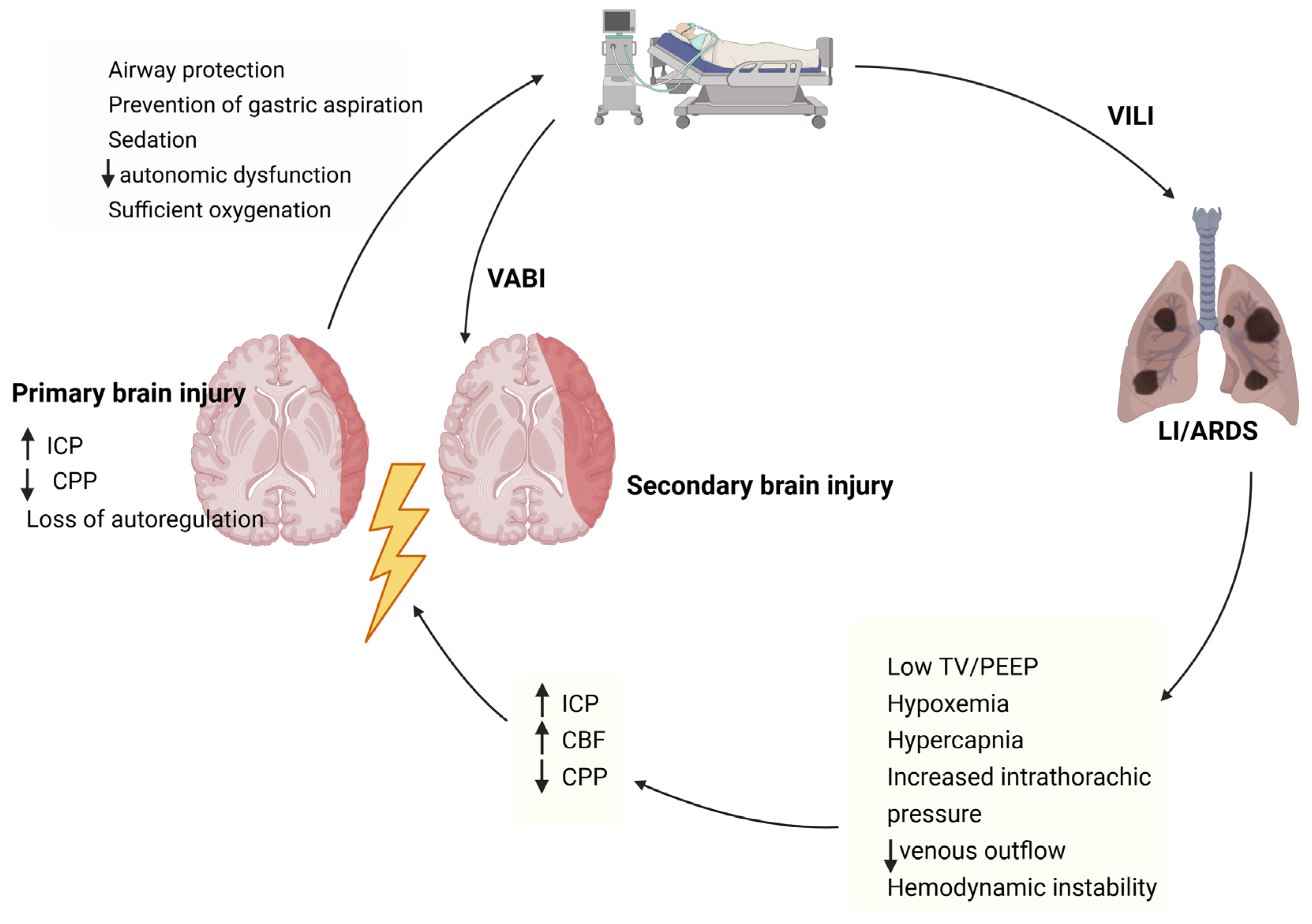 Jcm 14 08443 g001 Jcm 14 08443 g001