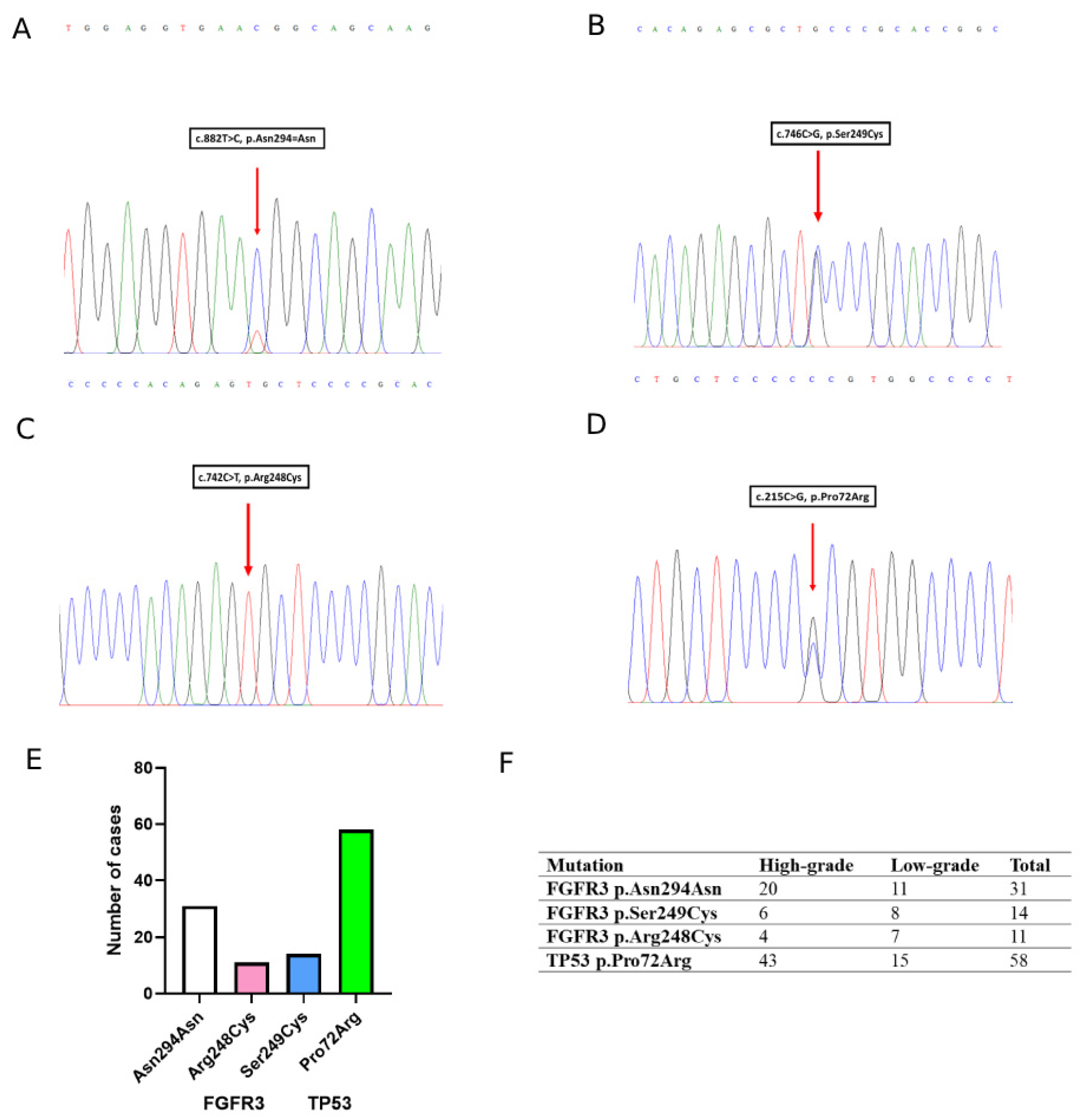 Jcm 14 08526 g003 Jcm 14 08526 g003