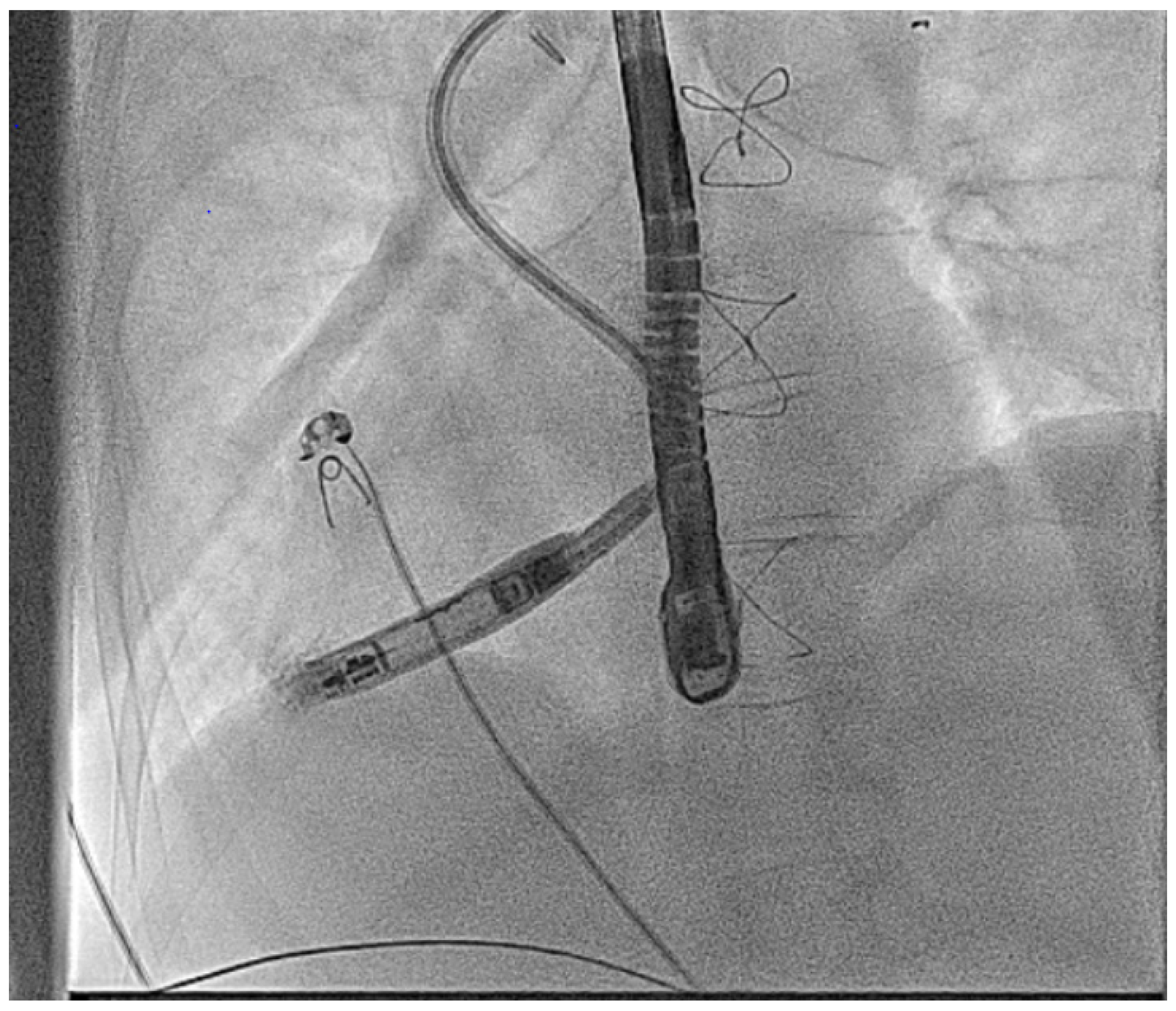 Jcm 14 08560 g001 Jcm 14 08560 g001