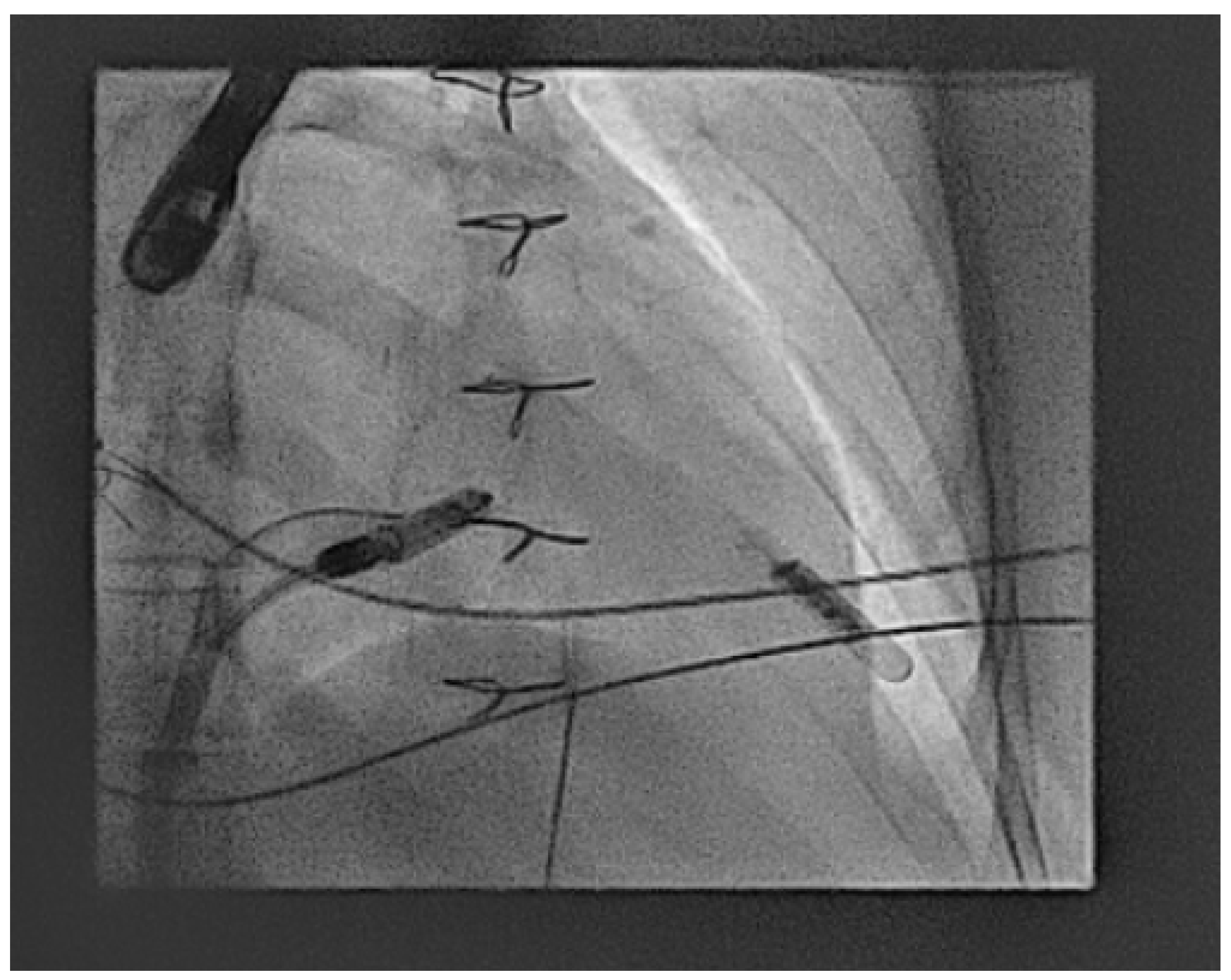 Jcm 14 08560 g002 Jcm 14 08560 g002