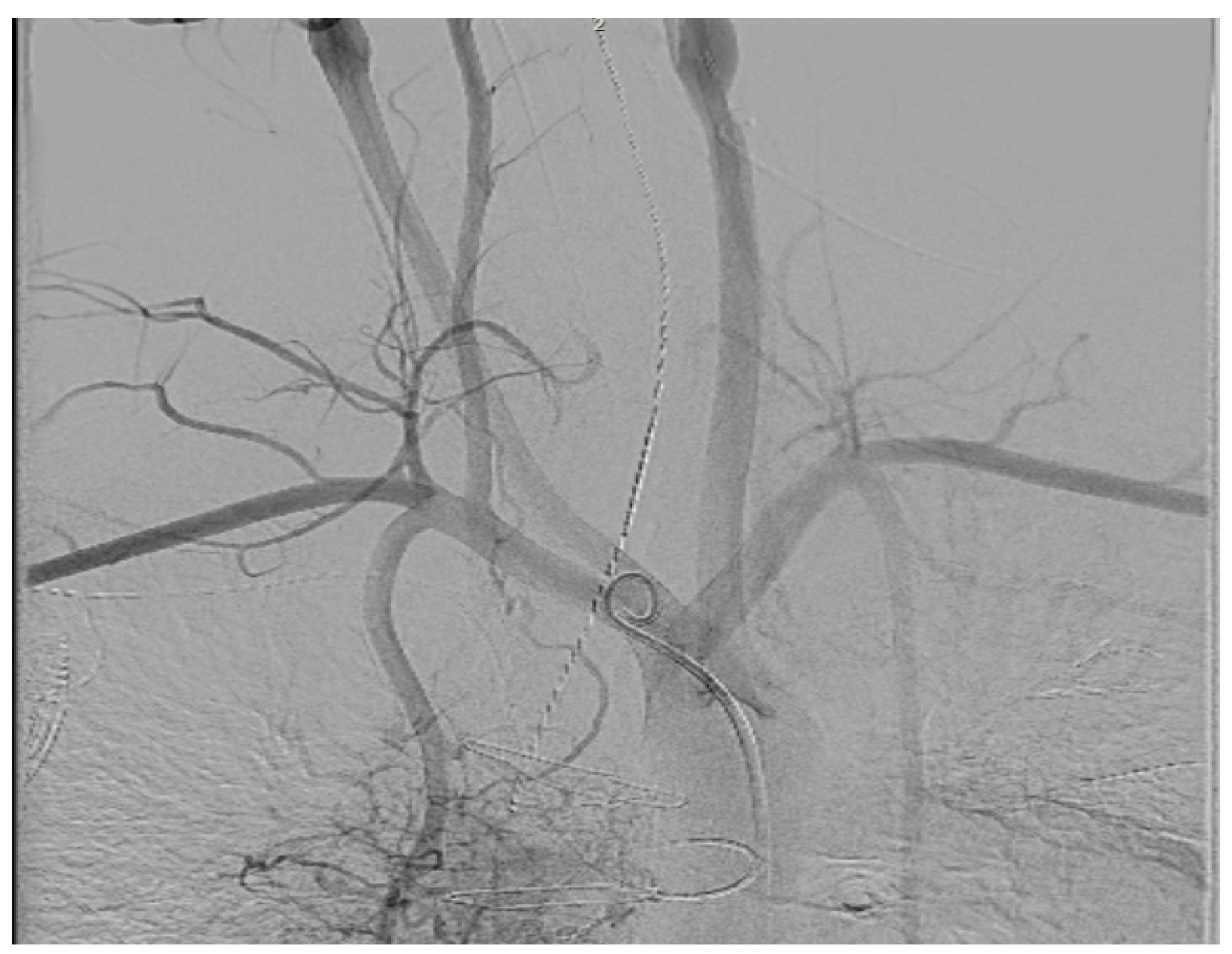 Jcm 14 08560 g012 Jcm 14 08560 g012