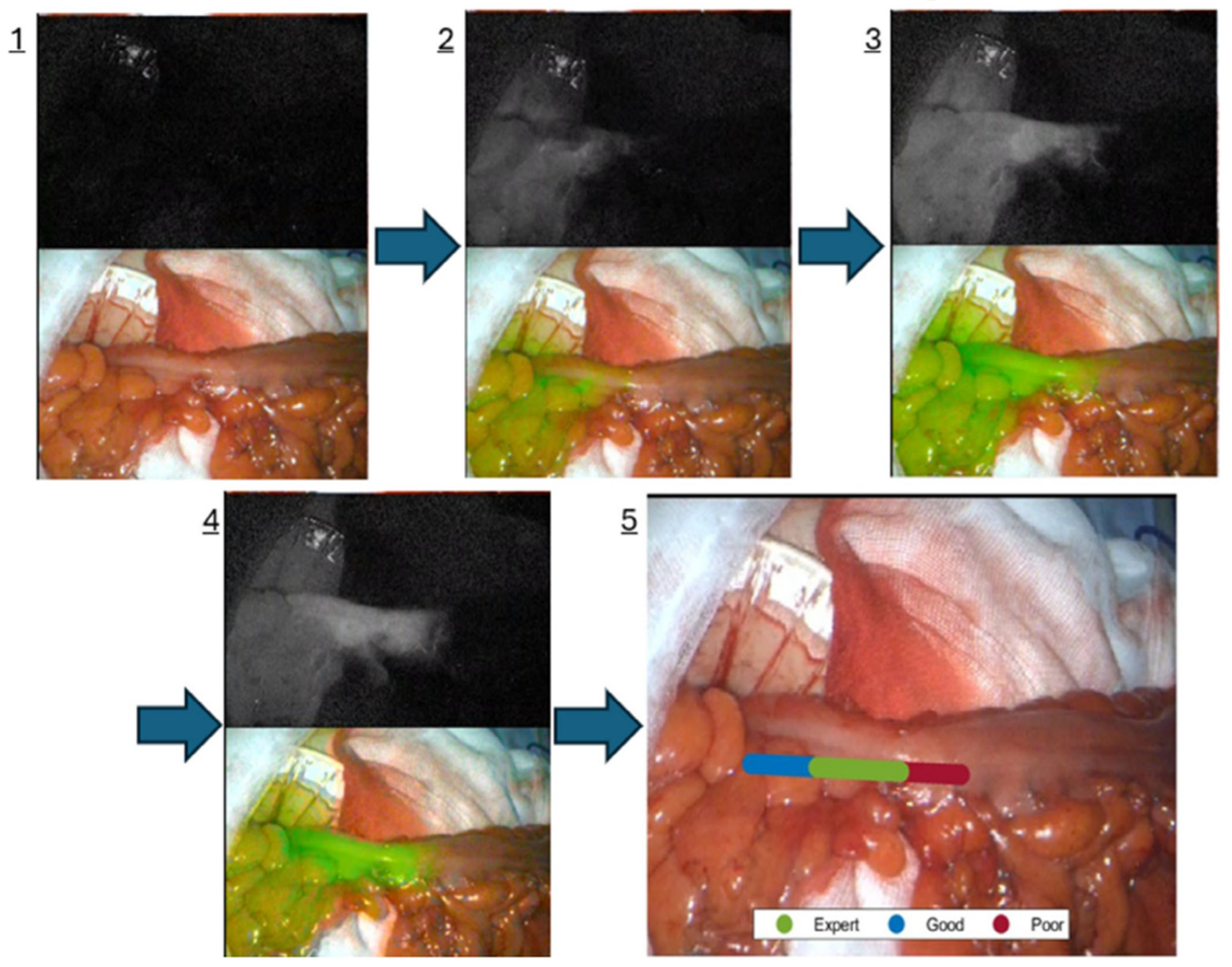 Jcm 14 08574 g001 Jcm 14 08574 g001