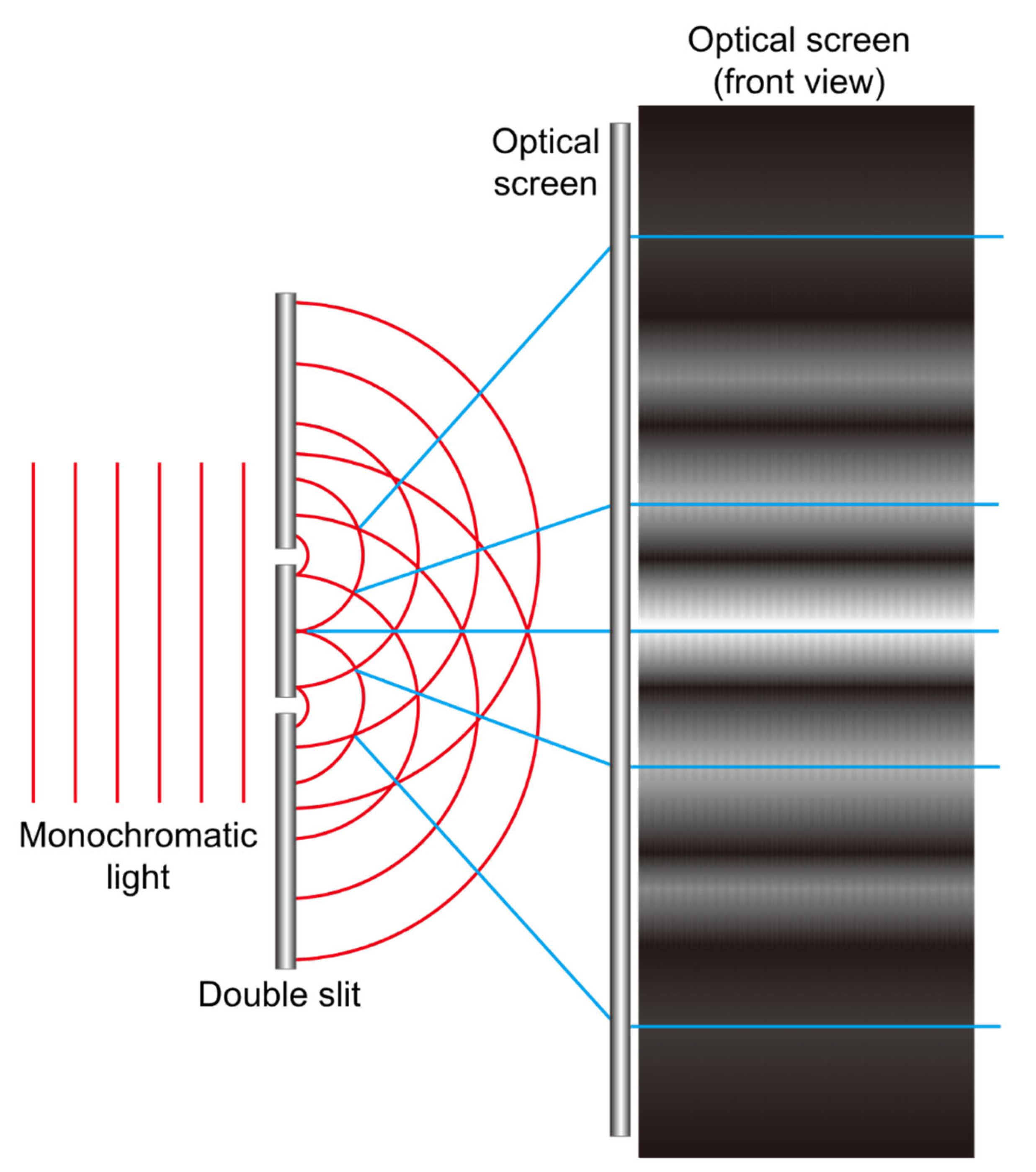 Jcm 14 08608 g001 Jcm 14 08608 g001