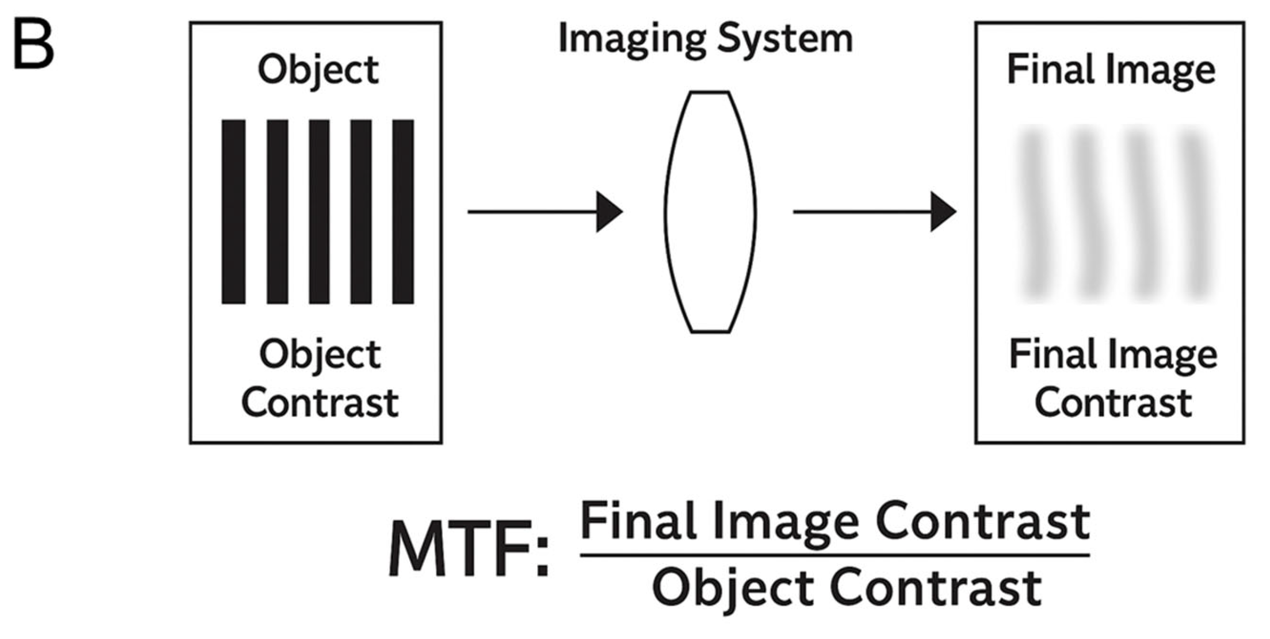 Jcm 14 08608 g006b Jcm 14 08608 g006b
