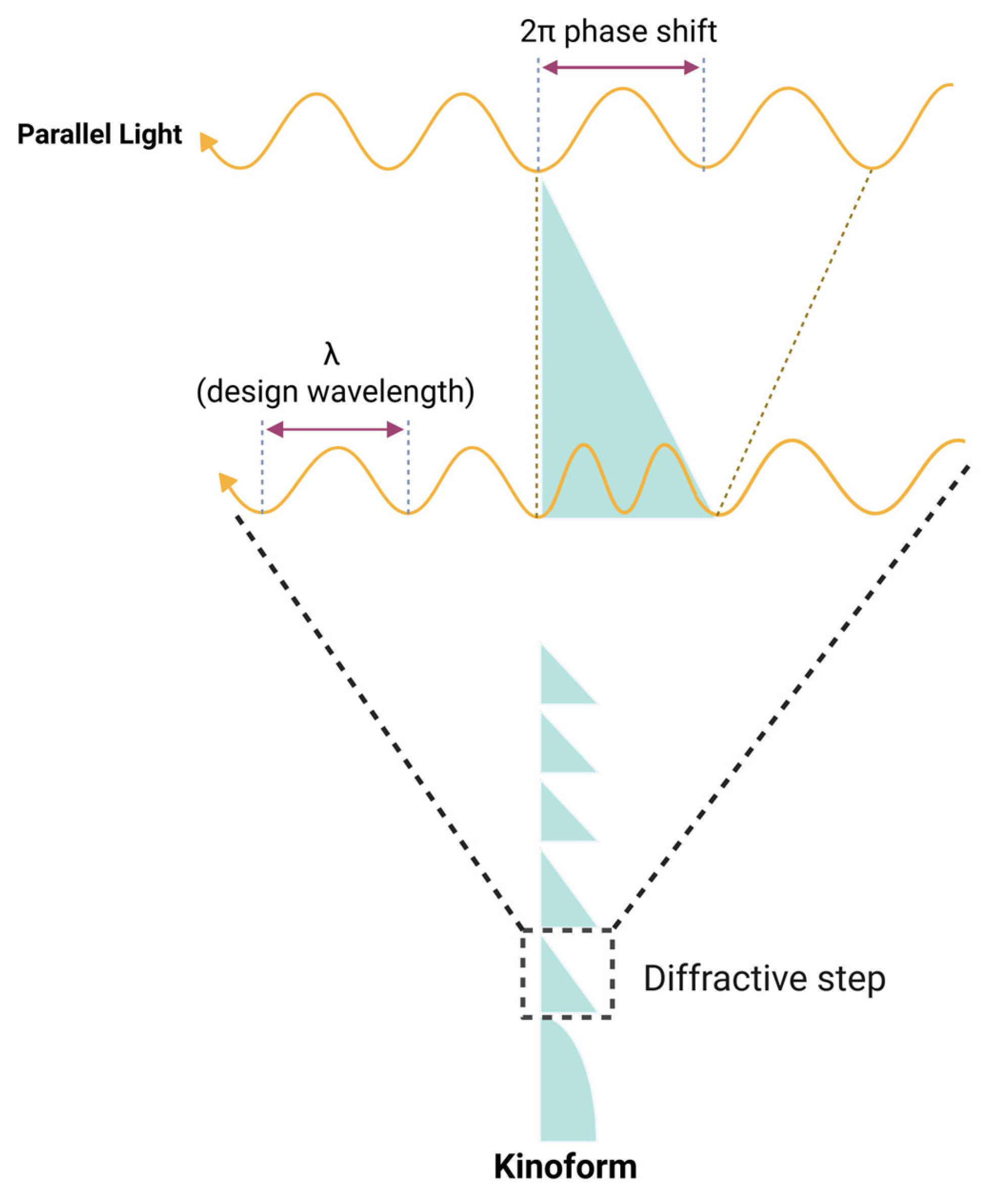 Jcm 14 08608 g011 Jcm 14 08608 g011