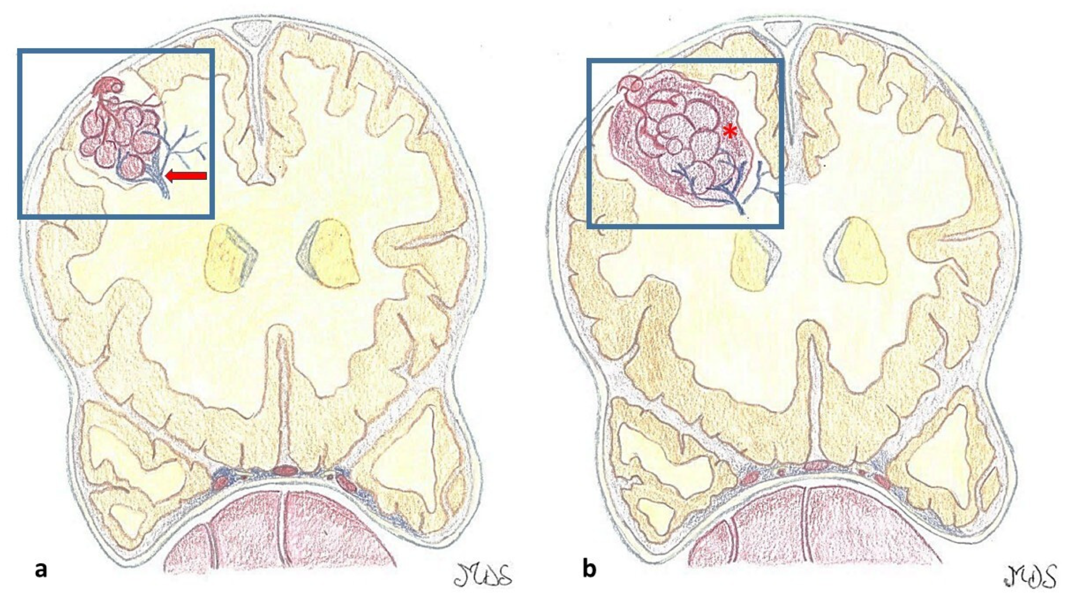 Jcm 14 08614 g001 Jcm 14 08614 g001