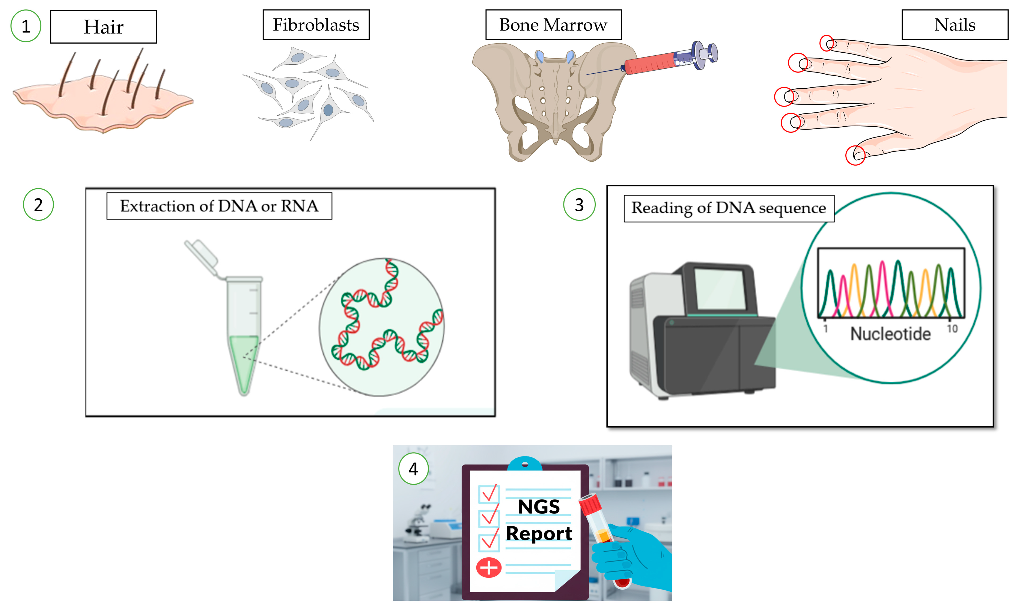 Jcm 14 08681 g001 Jcm 14 08681 g001