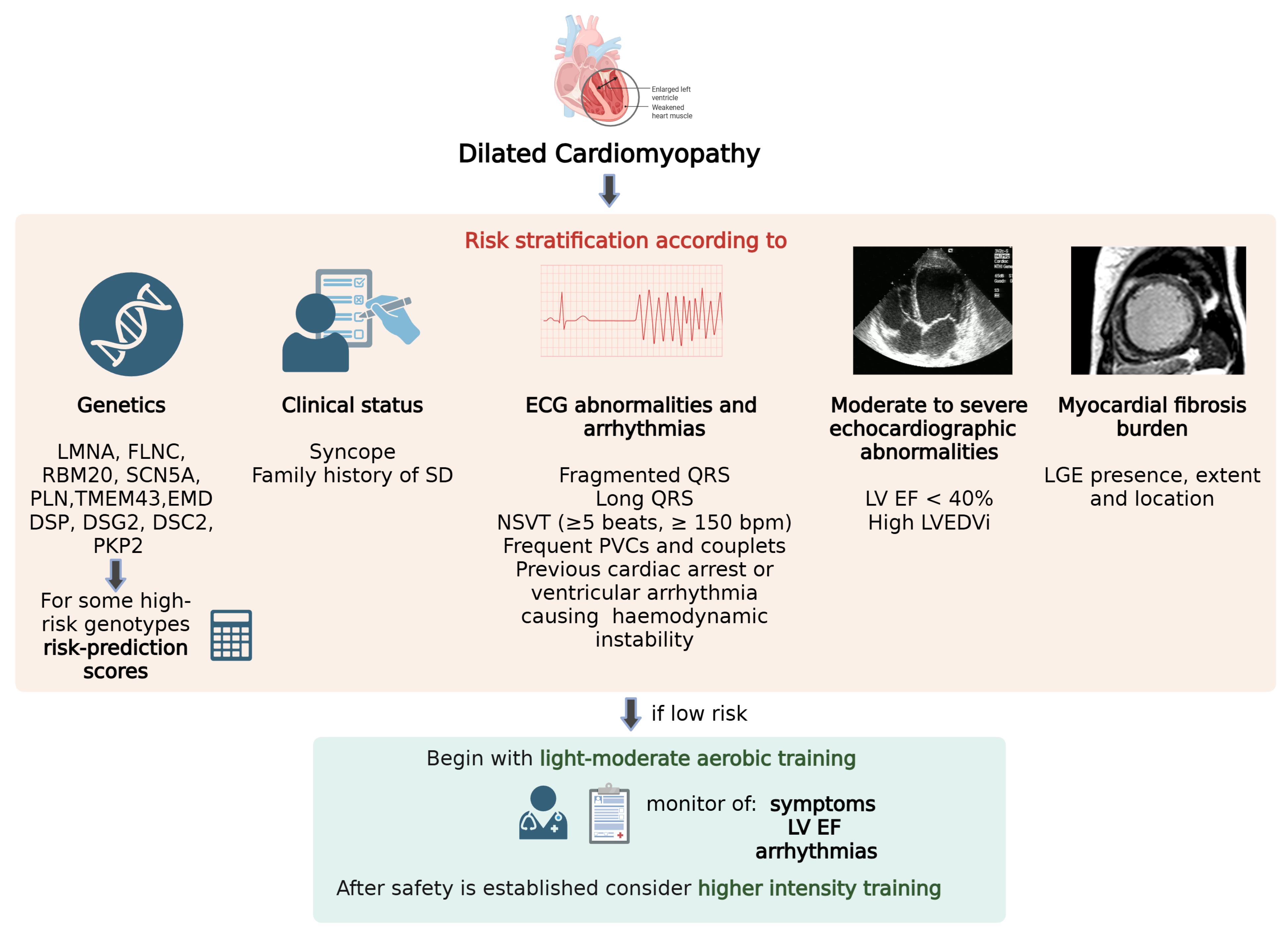 Jcm 14 08683 g001 Jcm 14 08683 g001