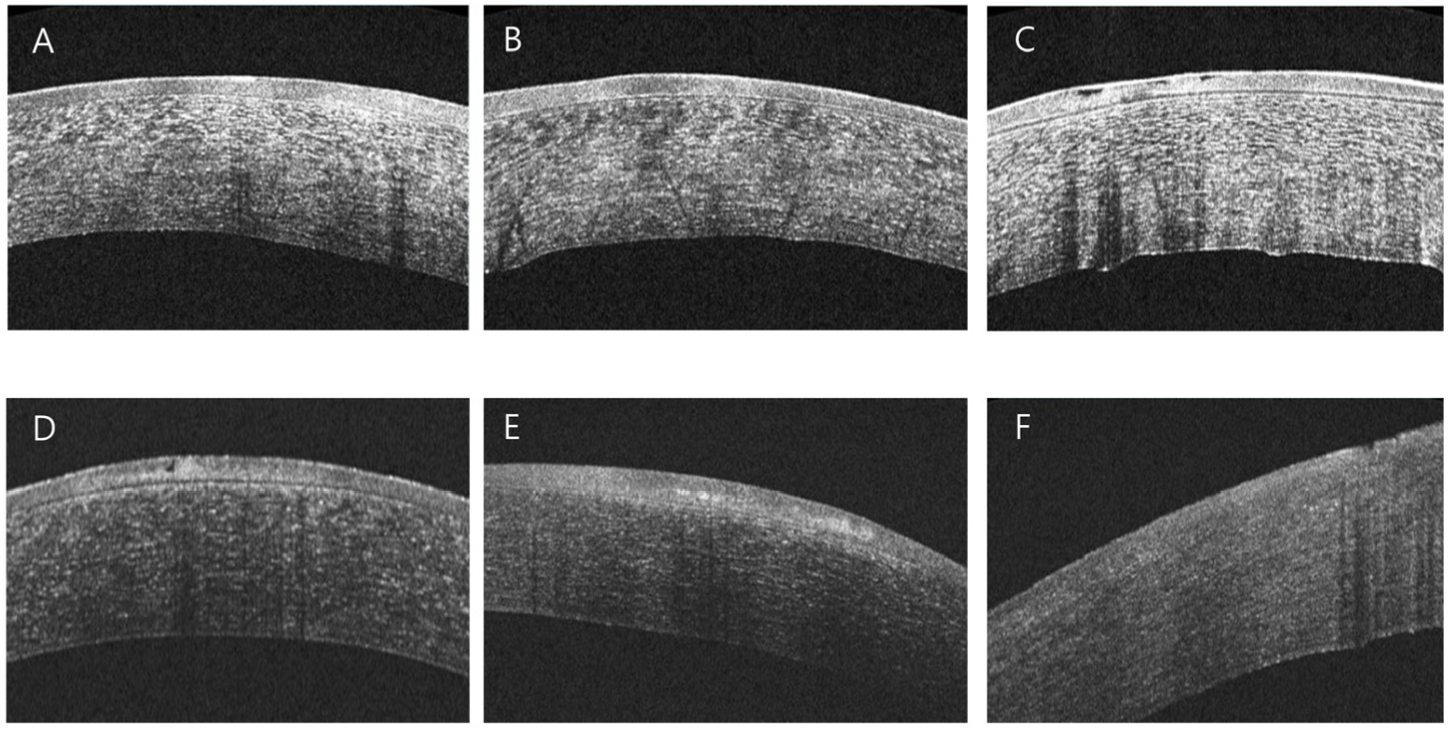 Jcm 14 08694 g002 Jcm 14 08694 g002
