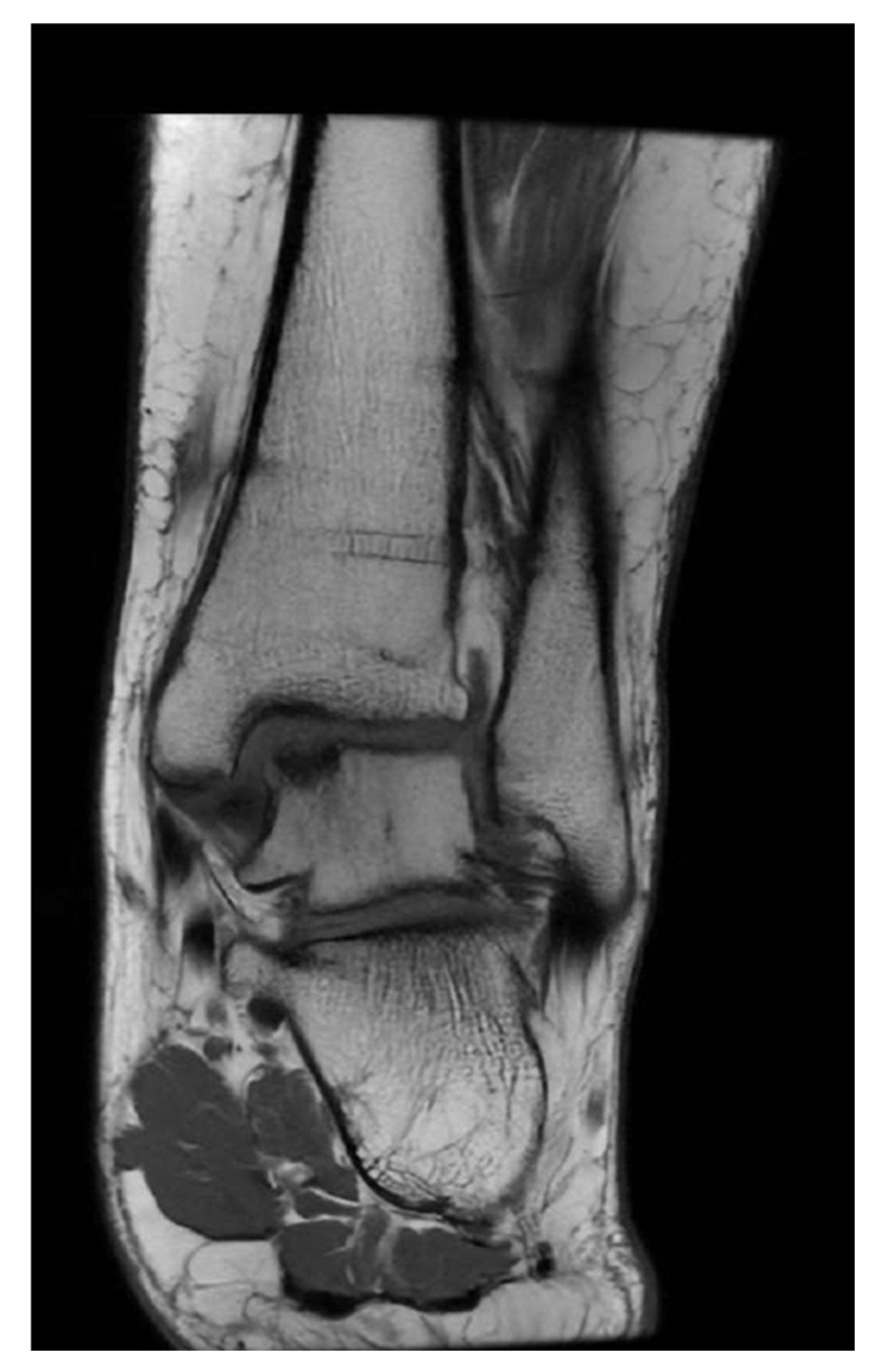 Jcm 14 08710 g002 Jcm 14 08710 g002