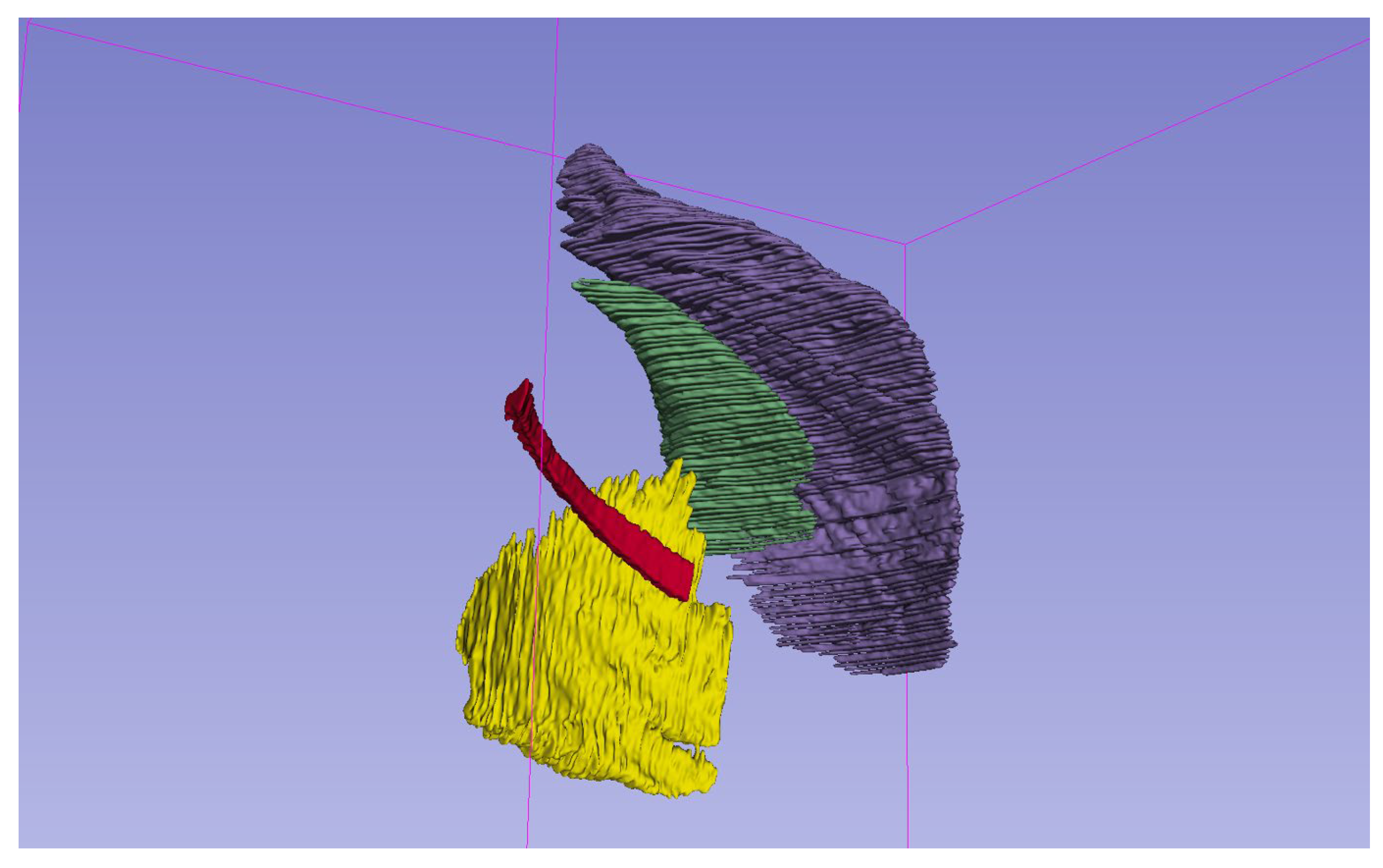 Jcm 14 08712 g002 Jcm 14 08712 g002