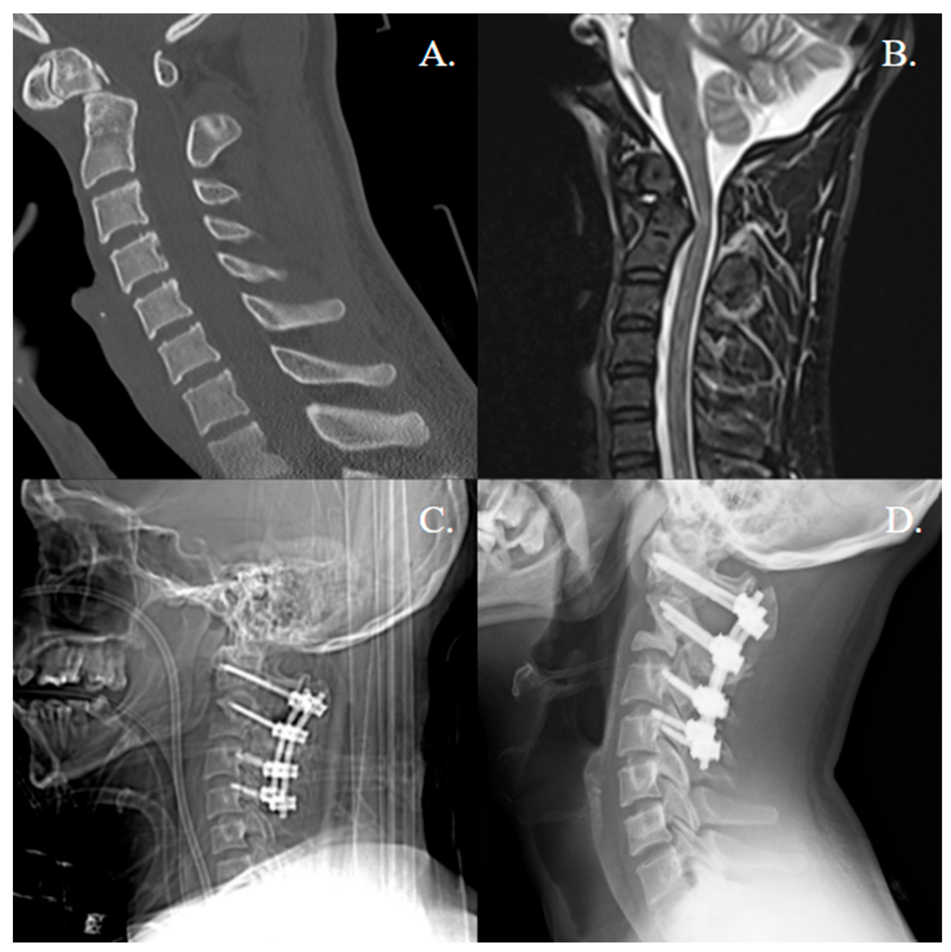 Jcm 14 08731 g001 Jcm 14 08731 g001
