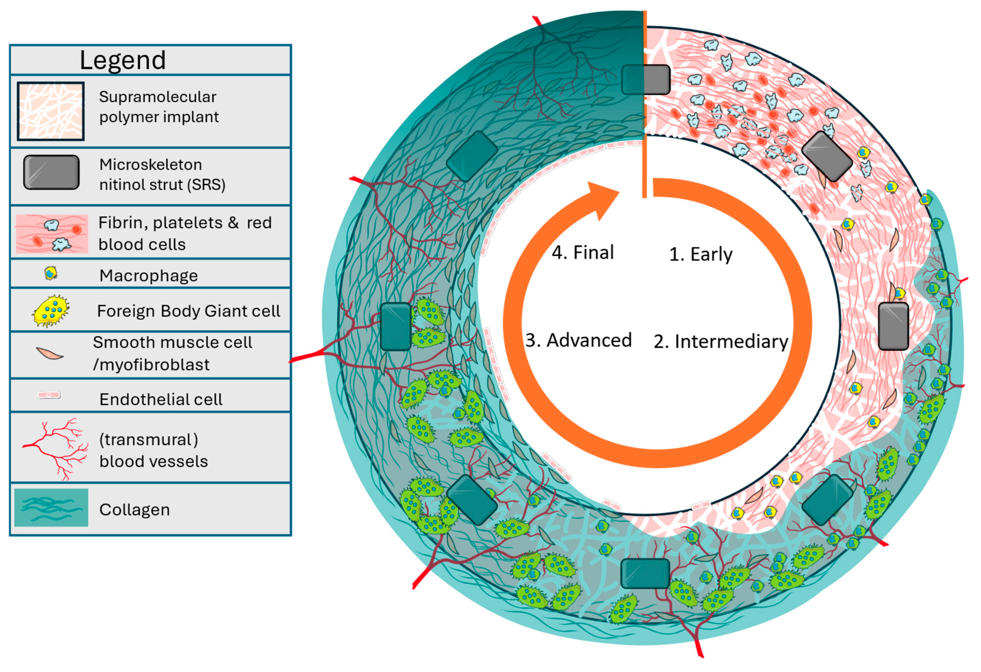 Jcm 14 08768 g001 Jcm 14 08768 g001