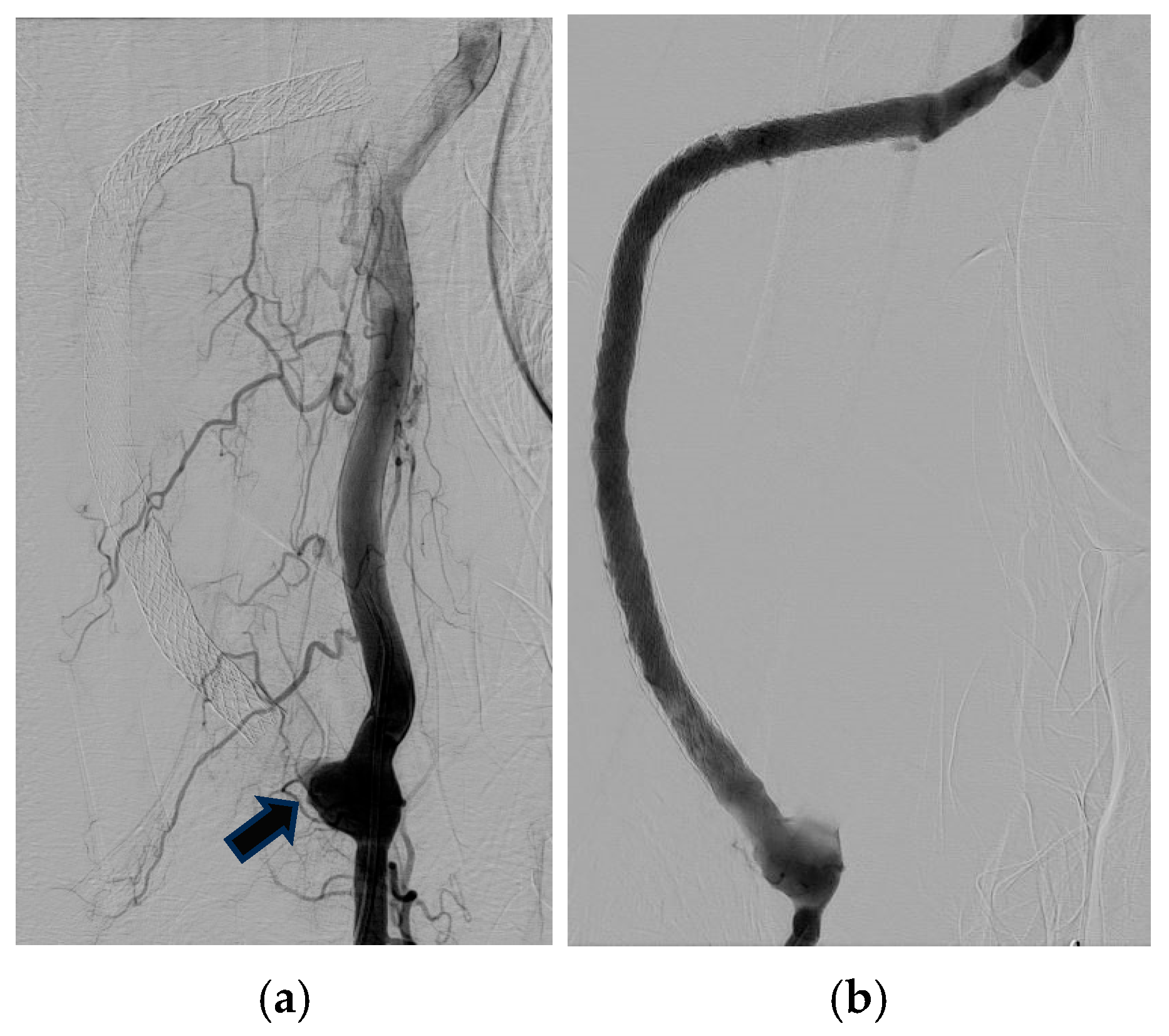 Jcm 14 08768 g002 Jcm 14 08768 g002