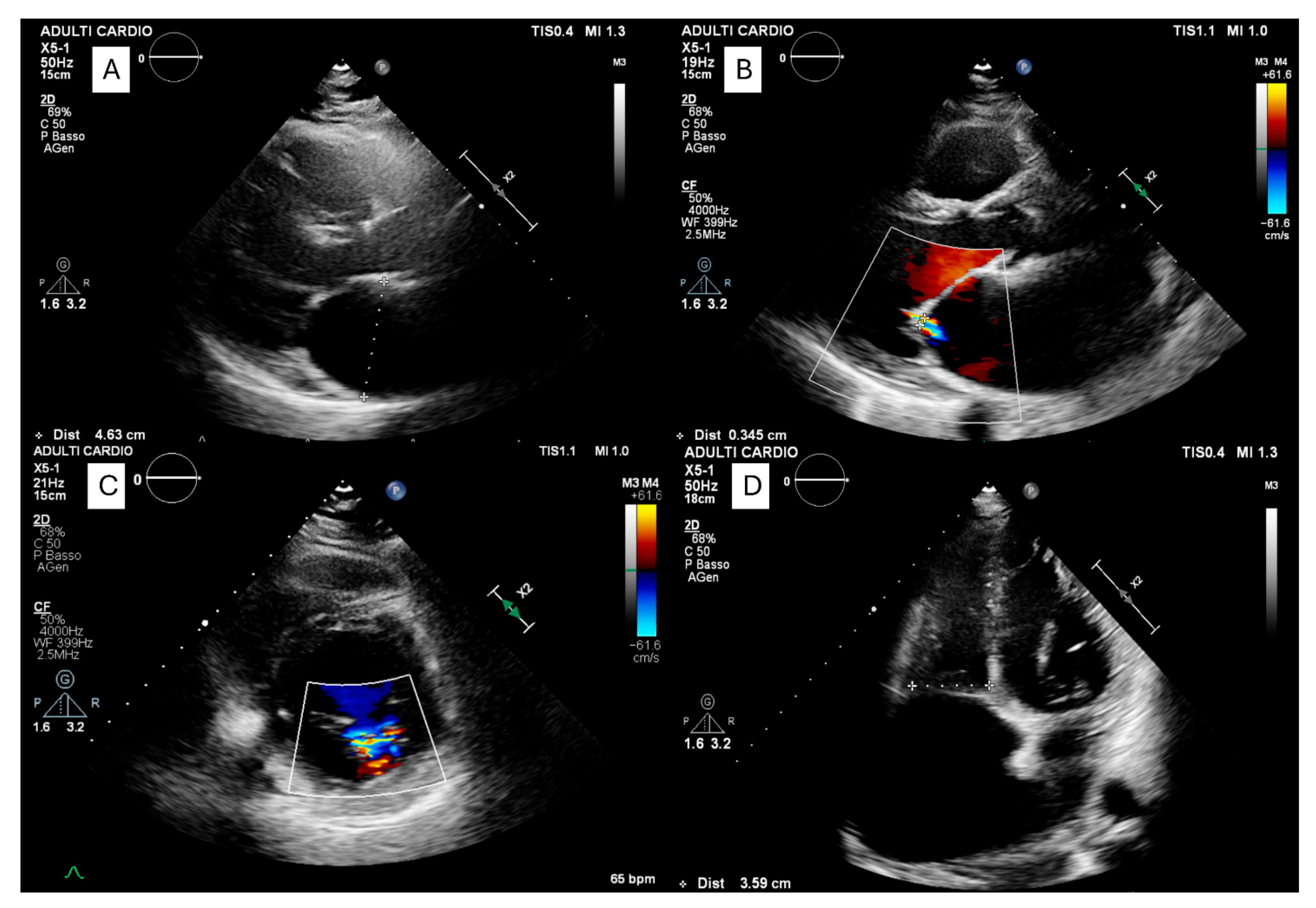 Jcm 14 08773 g001 Jcm 14 08773 g001
