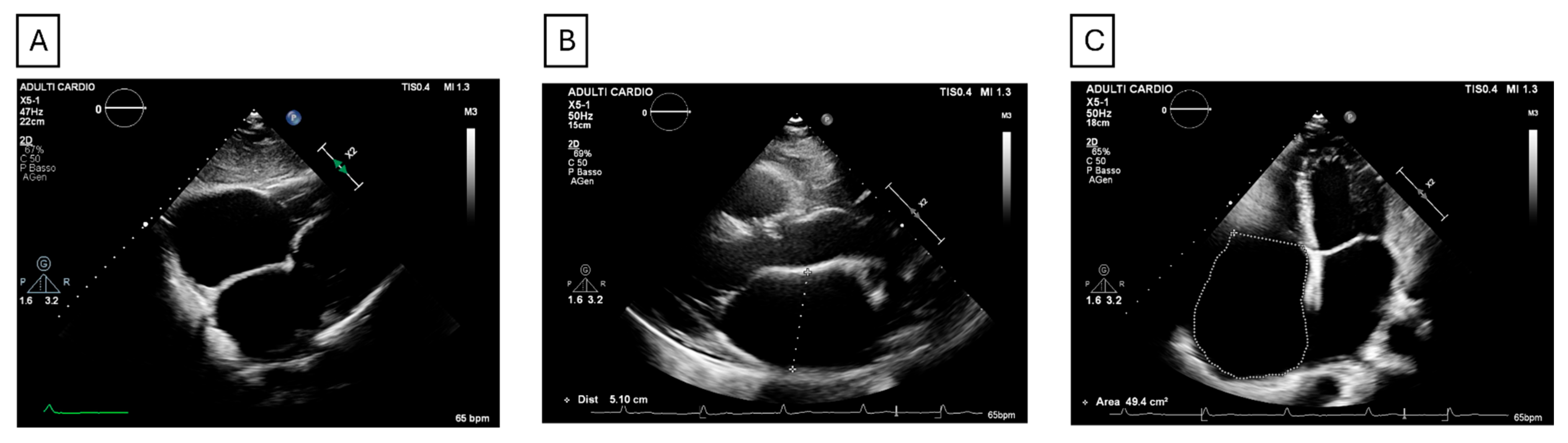 Jcm 14 08773 g002 Jcm 14 08773 g002