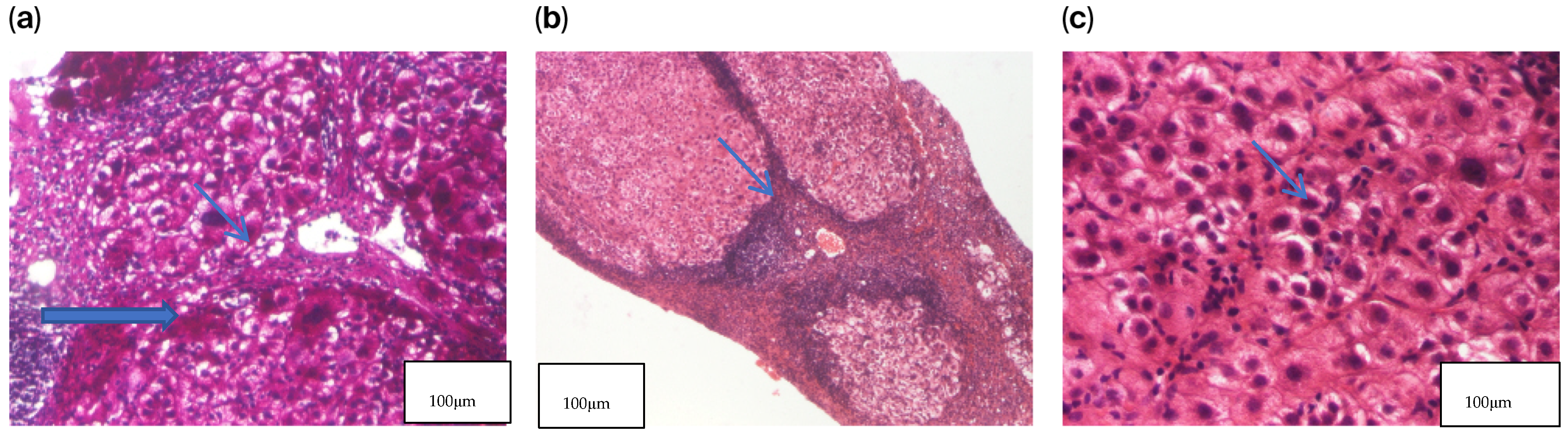 Jcm 14 08798 g001 Jcm 14 08798 g001