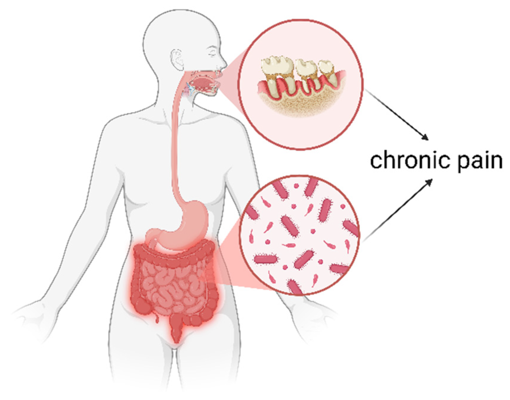 Jcm 14 08812 g001 Jcm 14 08812 g001