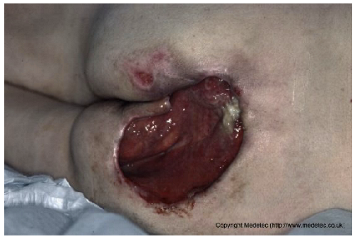 Jcm 14 08825 i001 Jcm 14 08825 i001