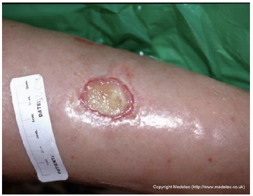 Jcm 14 08825 i004 Jcm 14 08825 i004