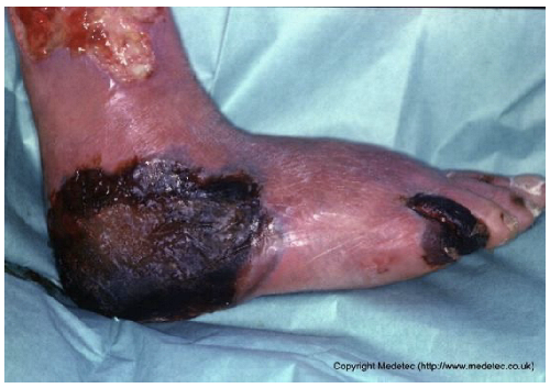 Jcm 14 08825 i008 Jcm 14 08825 i008