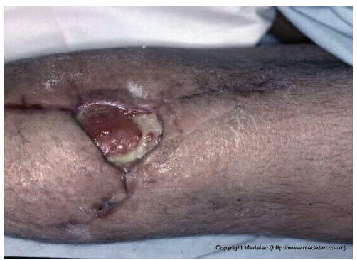 Jcm 14 08825 i011 Jcm 14 08825 i011